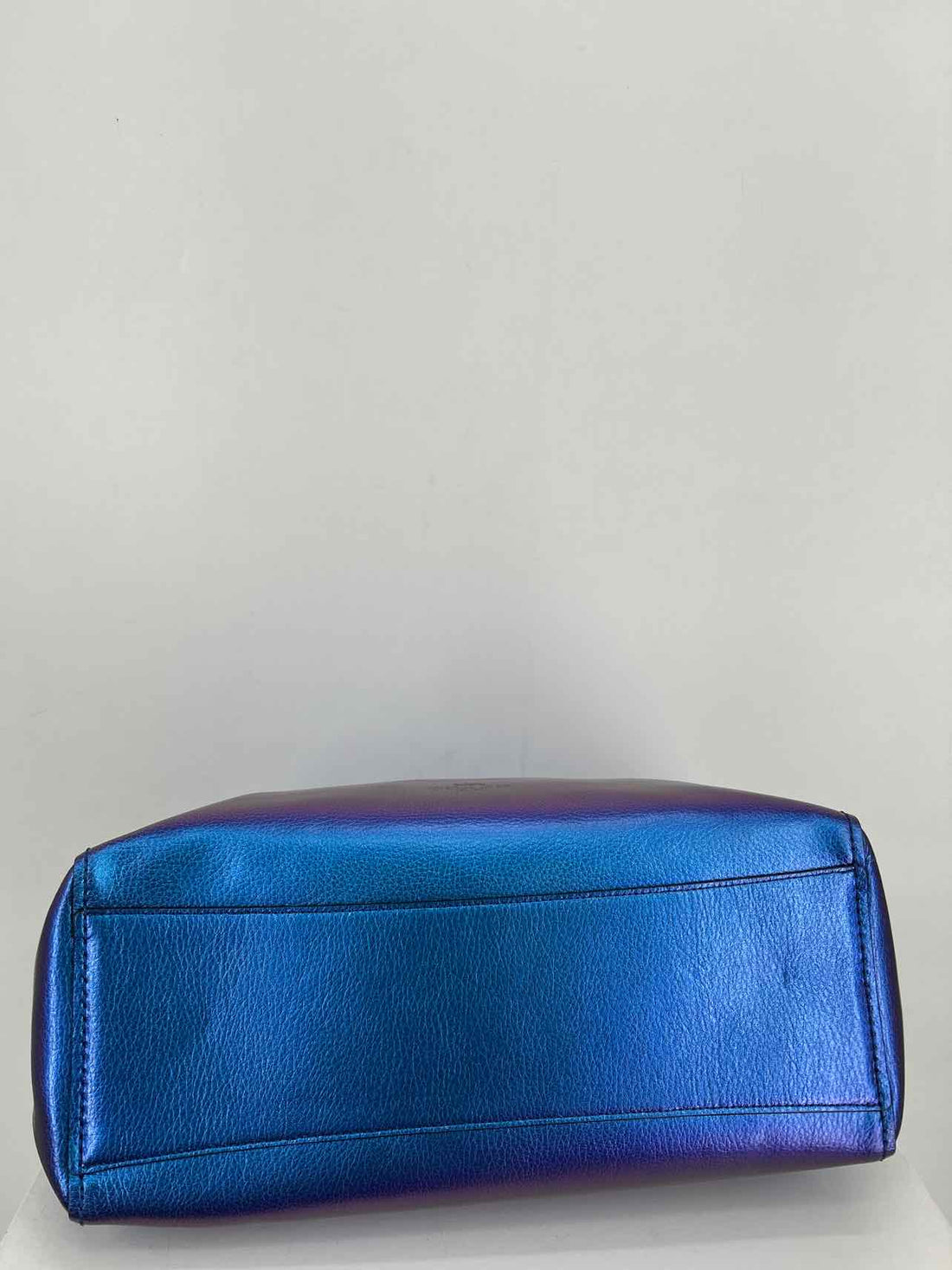 Coach Oil Slick Genuine Leather oil Slick RARE COLLECTABLE