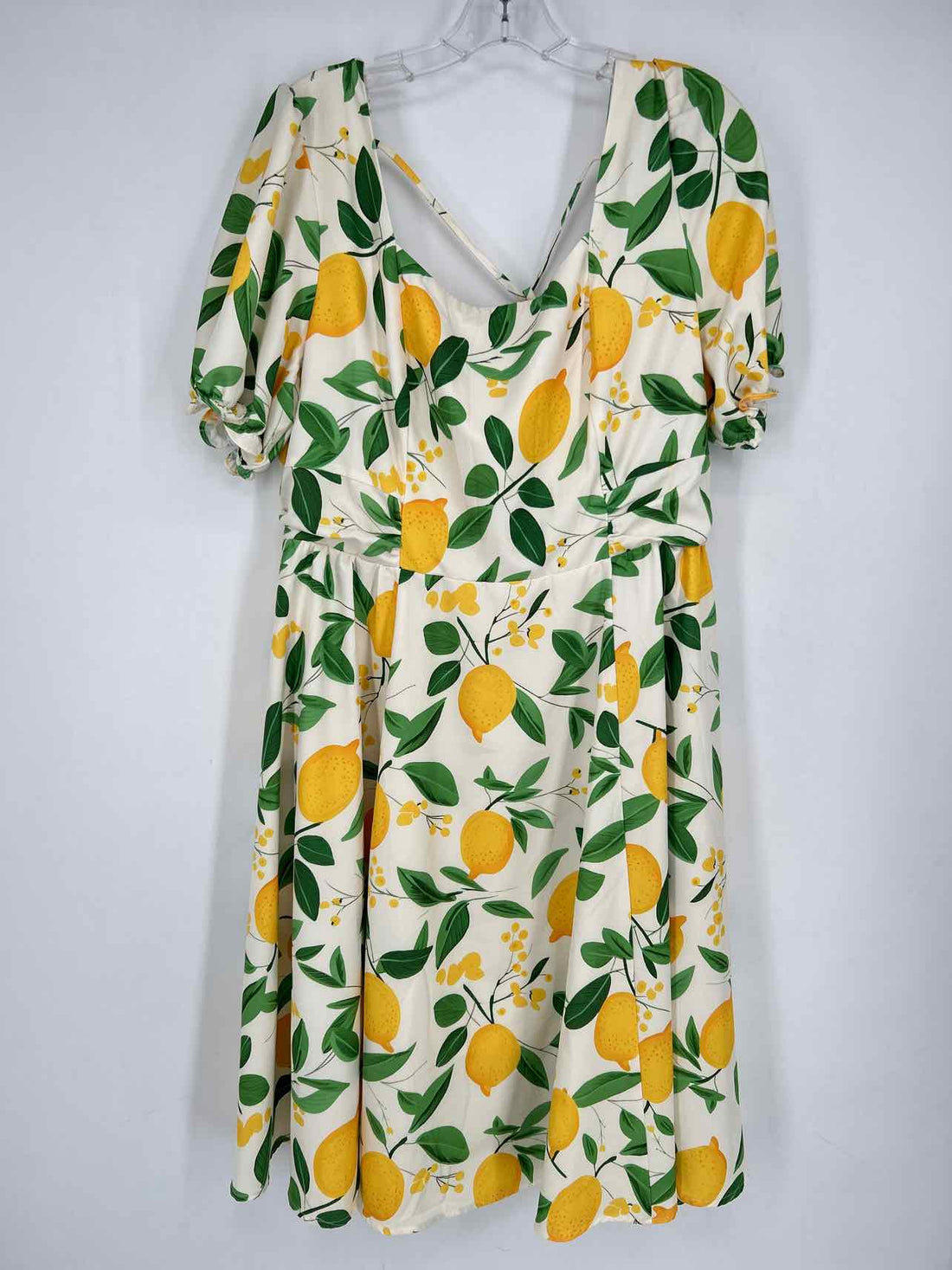 Belle Poque Size 2X Lemon Print Short Sleeve Dress