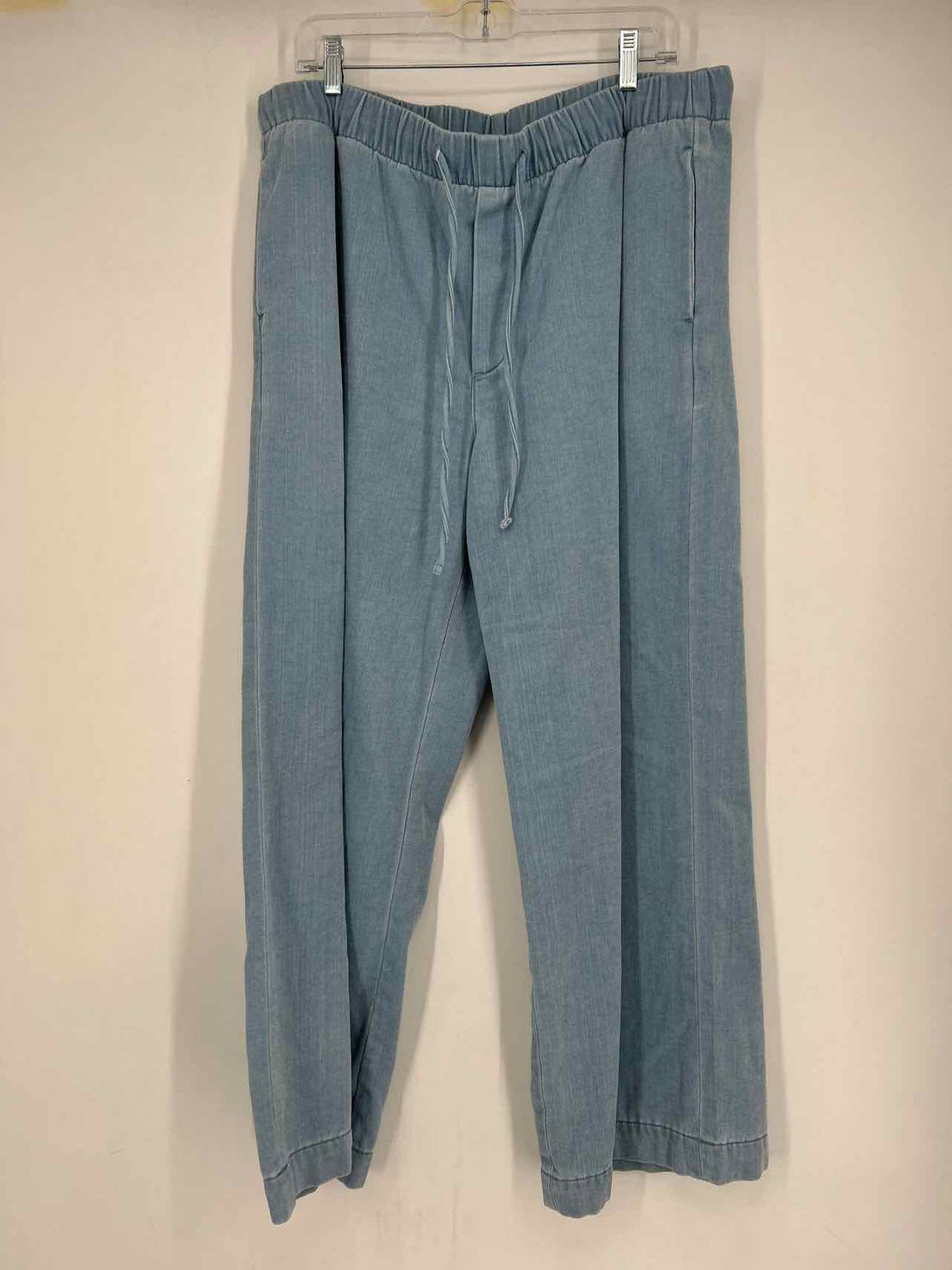 American Eagle Size L Light Wash Denim Jeans