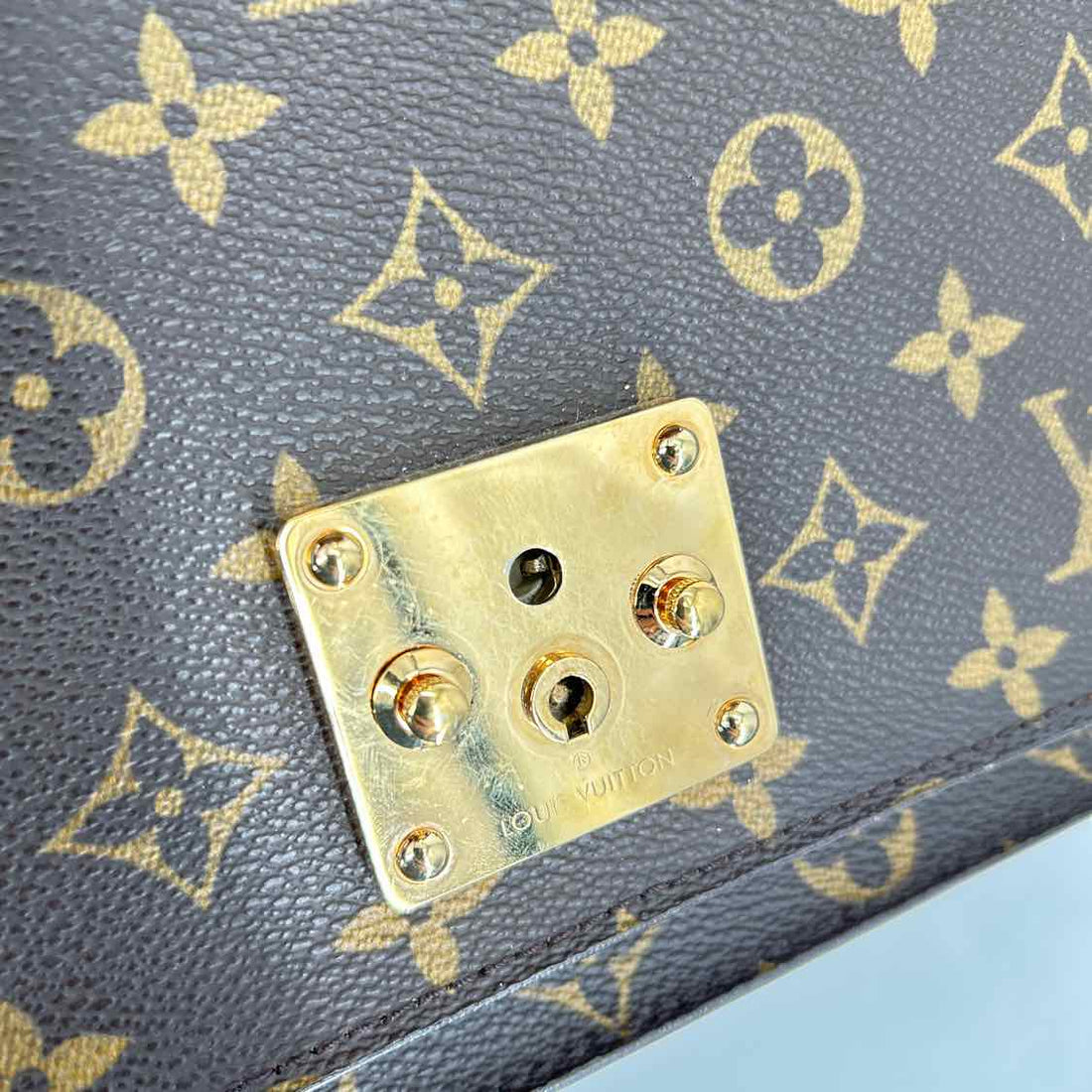 Louis Vuitton Monogram Coated Canvas & Leather LUXURY