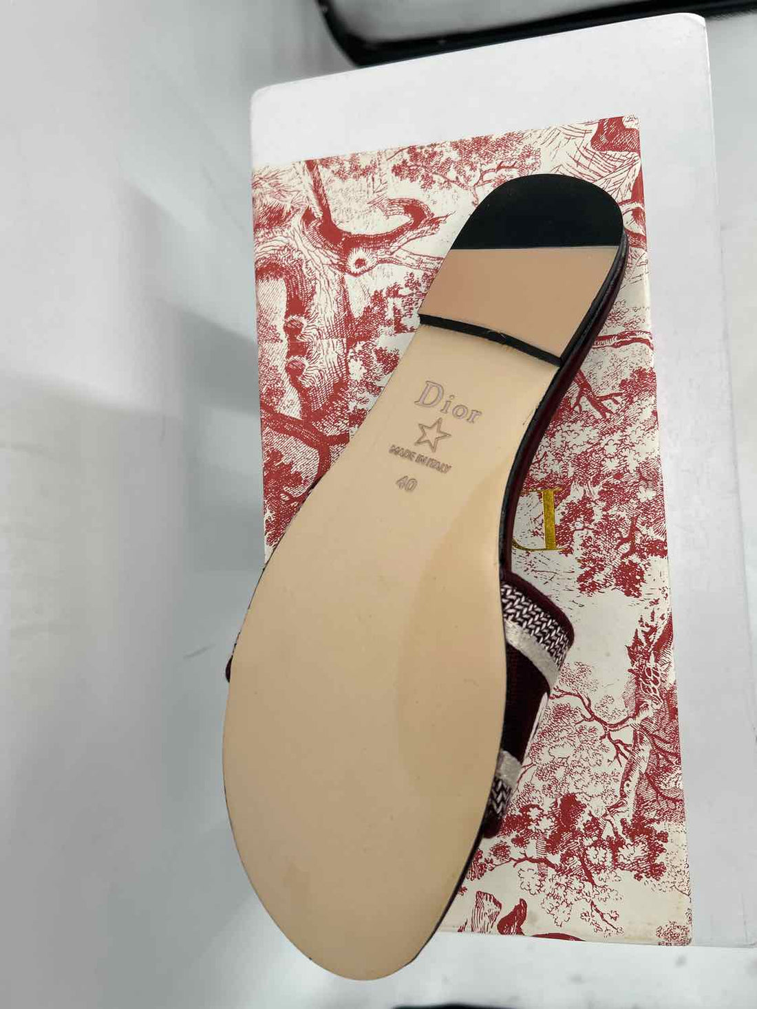 Christian Dior Women Size 40 Wine New In Box Canvas Signature Slides