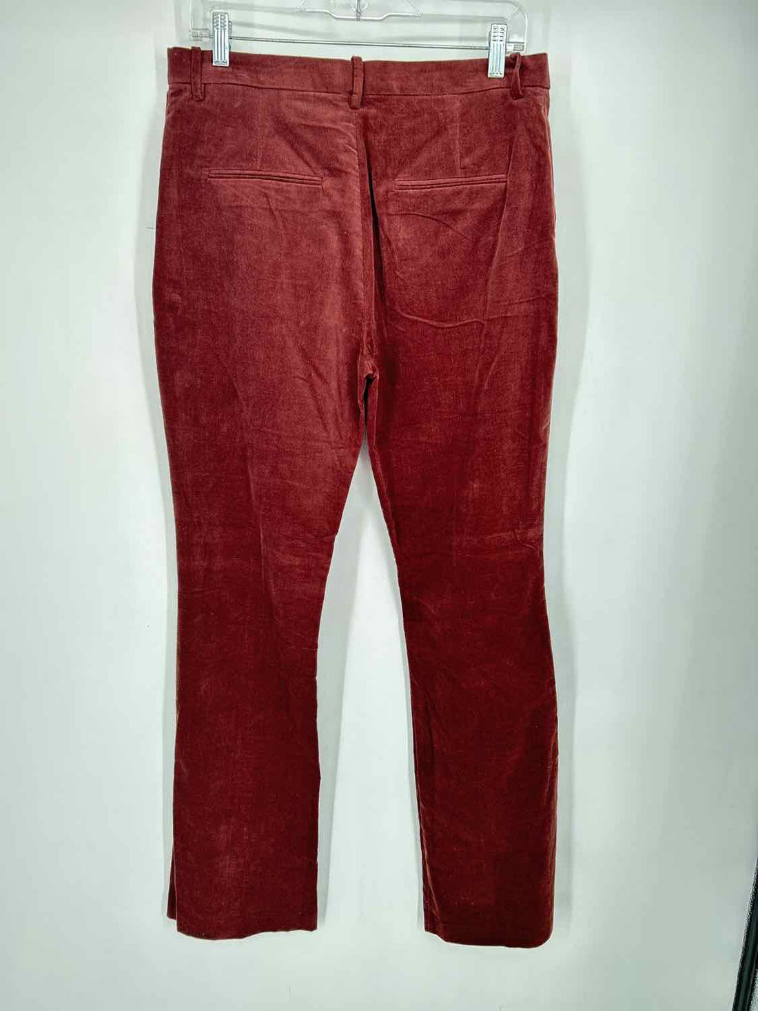 MNG Size 8 Chocolate Brown Velvet Pants