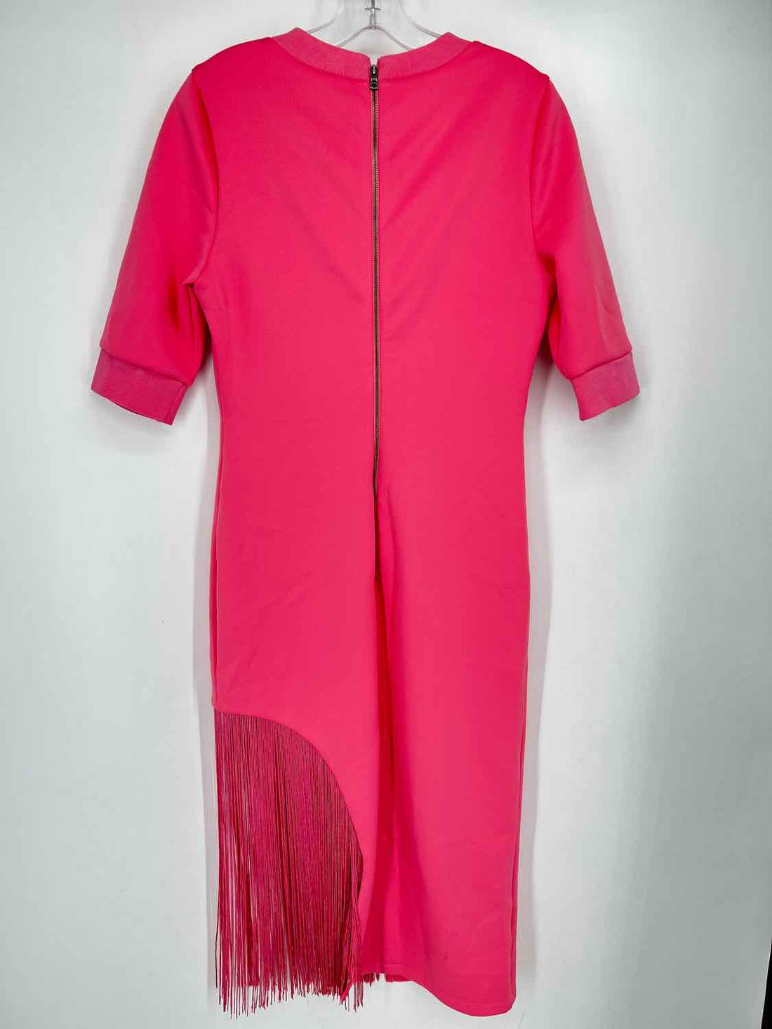 Alice + Olive Size 12 Pink Fringe NWT Dress