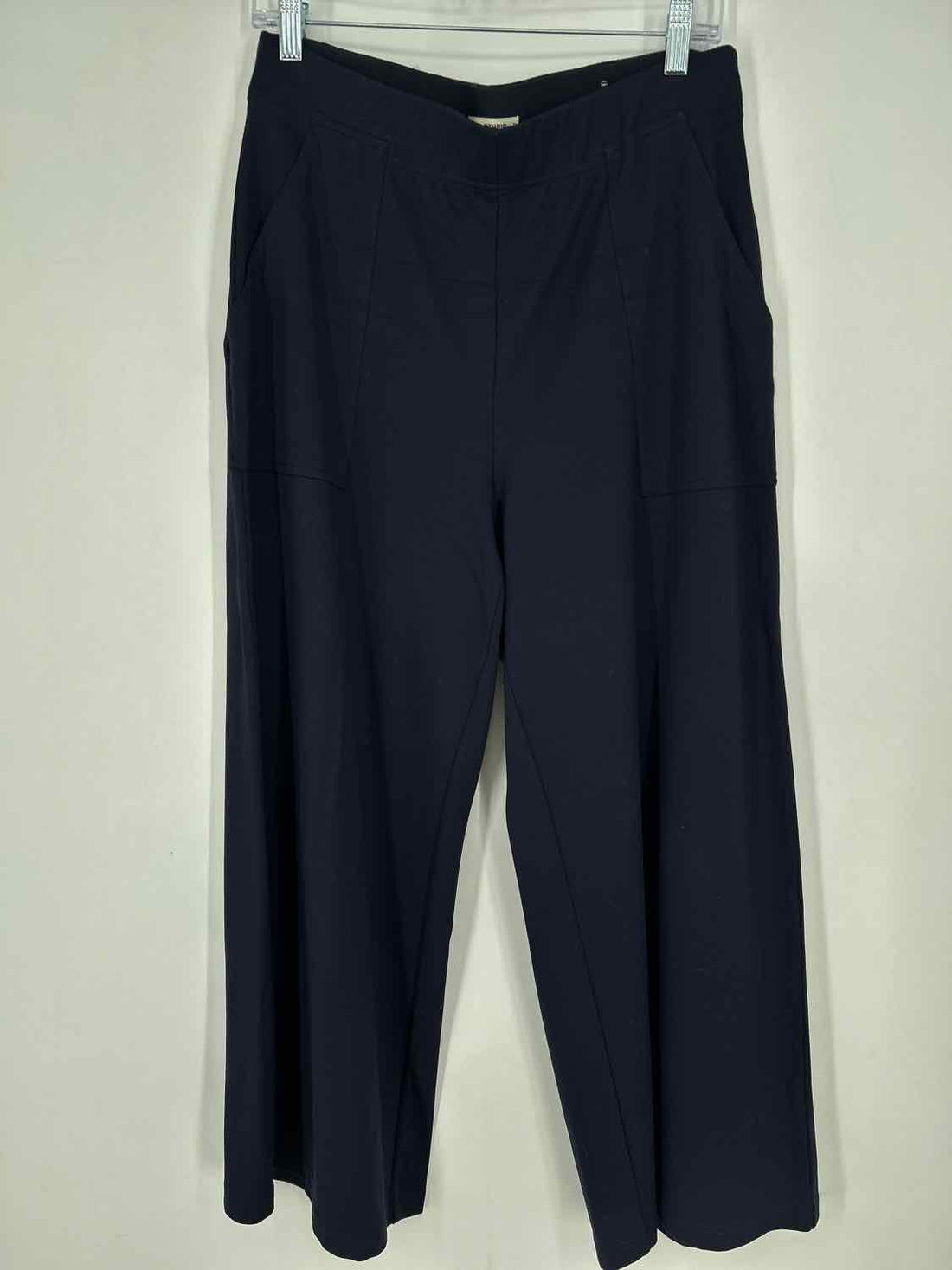 Max Studio Size L Navy Pants