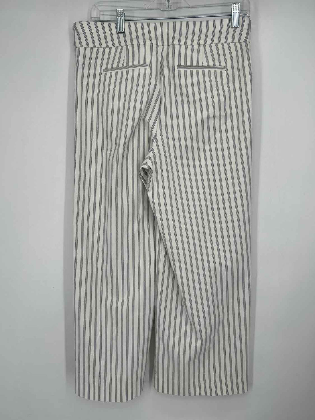 Chicos Size .5 (6) White Striped Pants