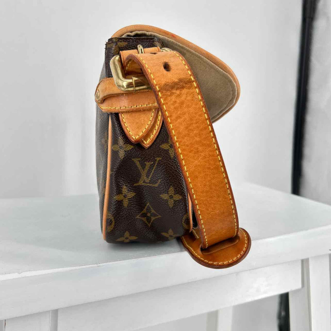Louis Vuitton Hudson PM  Monogram Leather & Coated Canvas Vintage LUXURY
