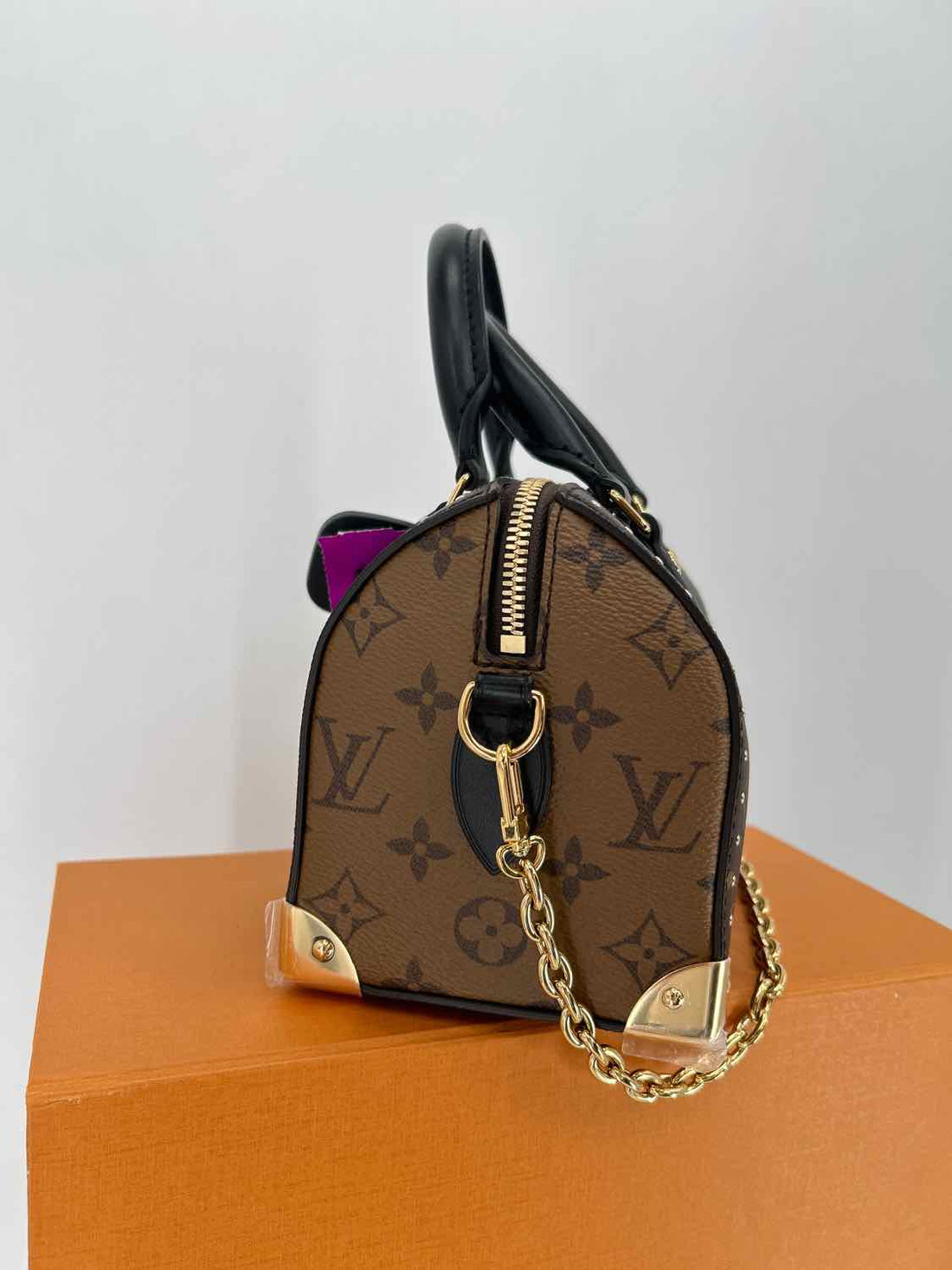 Louis Vuitton Speedy Trunk 20 LUXURY