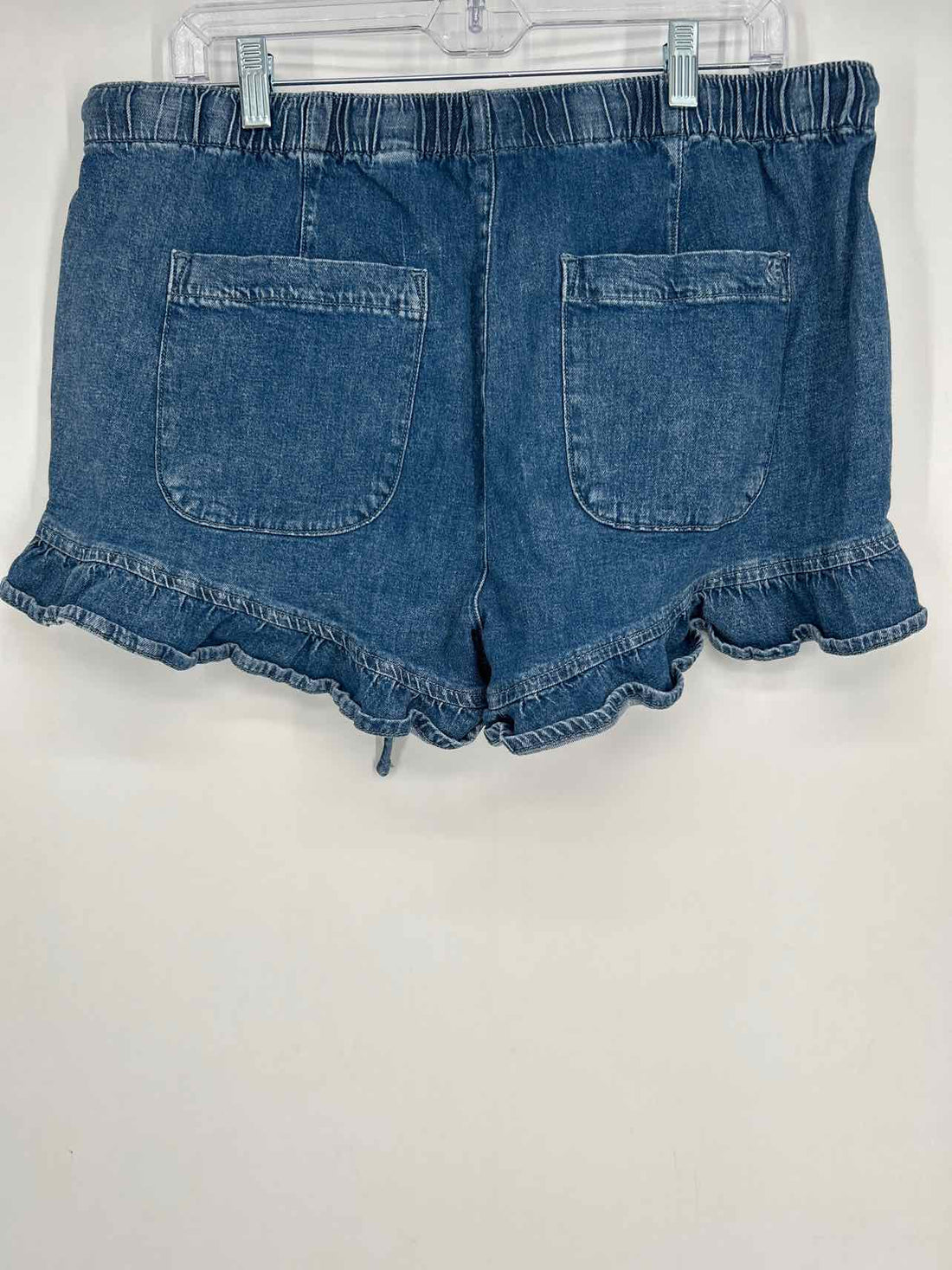 American Eagle Size L Denim Shorts