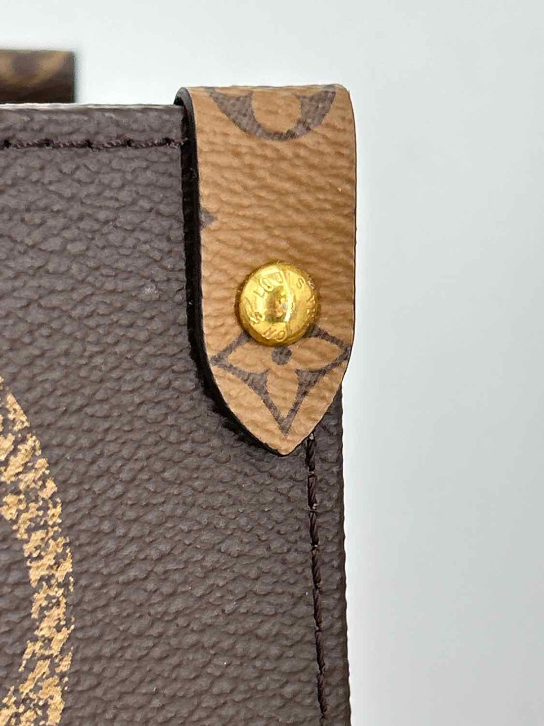 Louis Vuitton Monogram Giant & Monogram Reverse Coated Canvas & Leather LUXURY