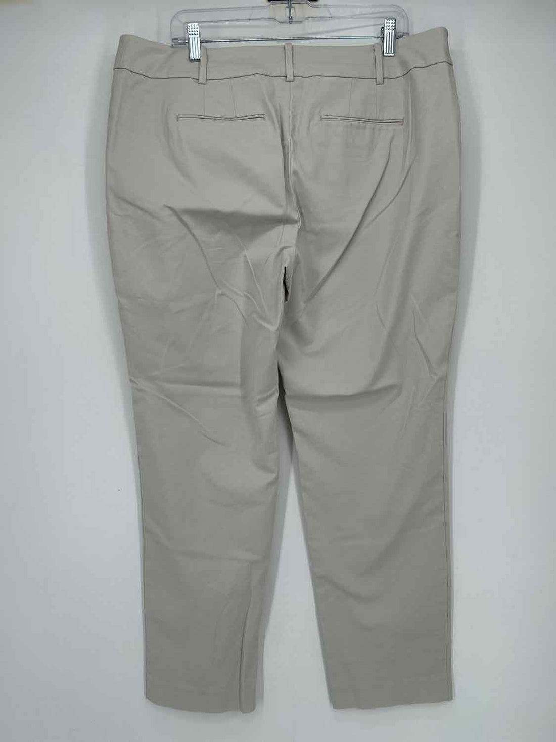 Ann Taylor Size 16 Chalk Pants