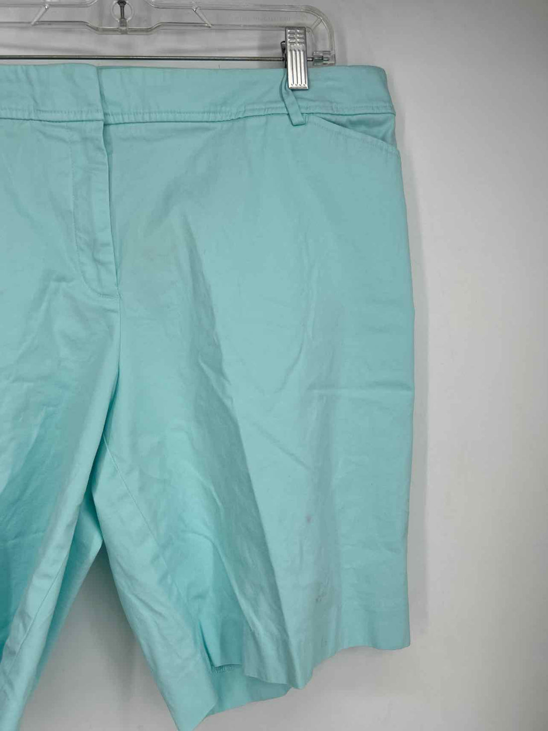 Talbots Size 18 Light Blue Shorts