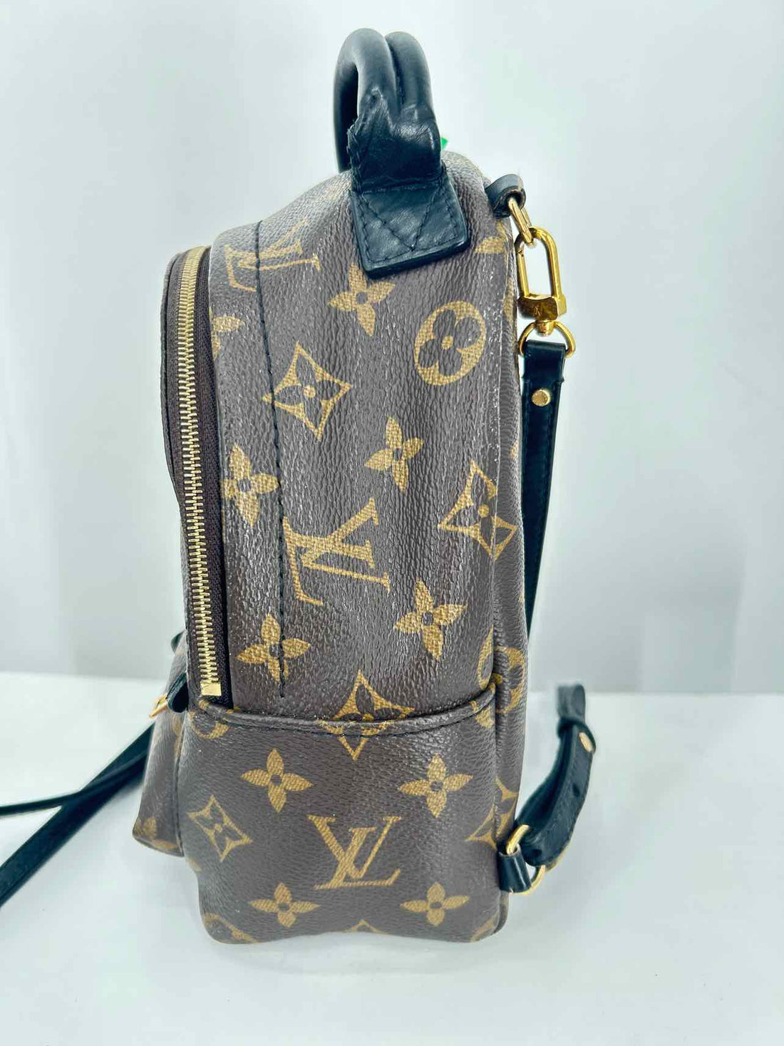 Louis Vuitton Palm Springs  Monogram Coated Canvas & Leather Pre Owned LUXURY