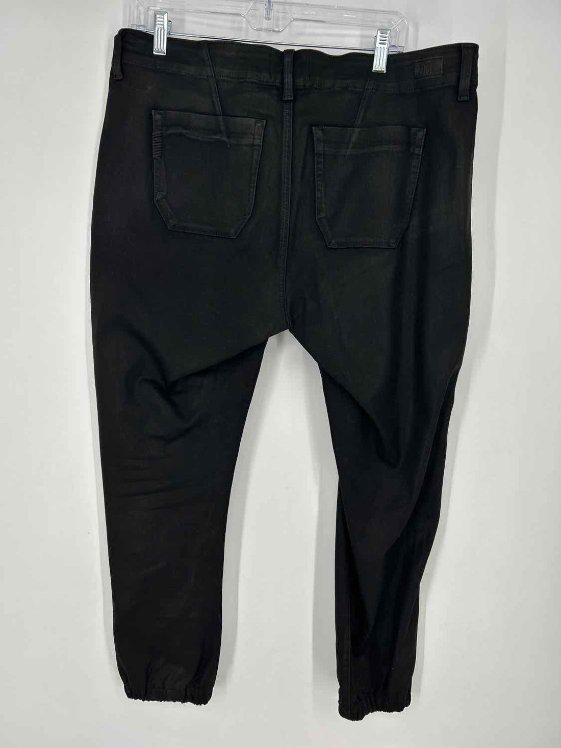 Paige Size 33 Black Shimmer Pants