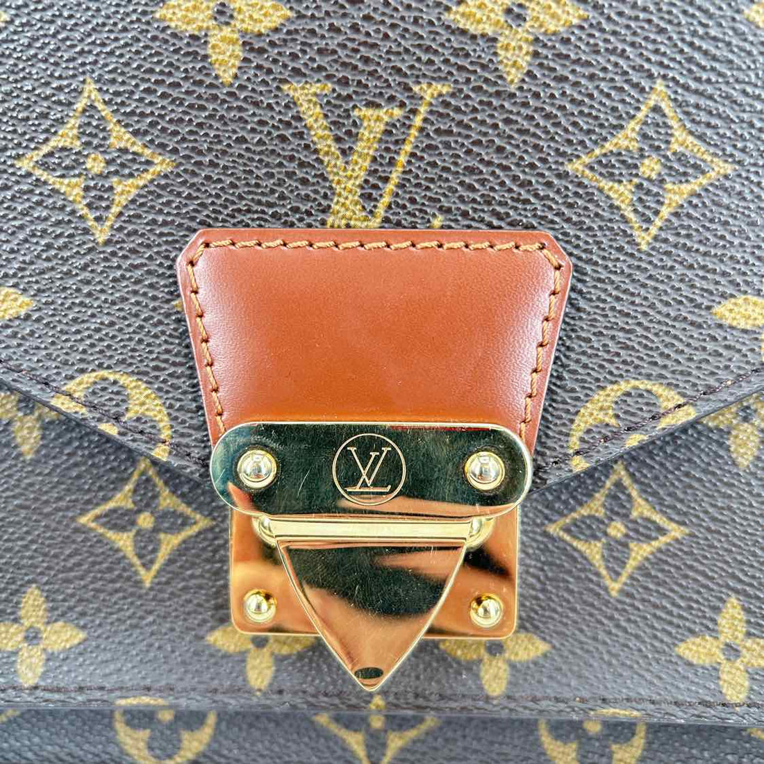 Louis Vuitton Monogram Coated Canvas & Leather LUXURY