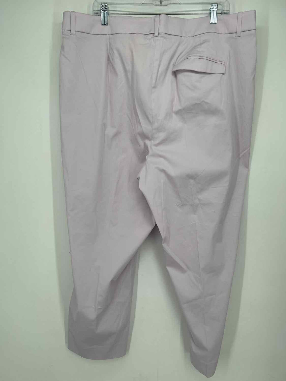 J Crew Size 20 Light Purple NWT Pants