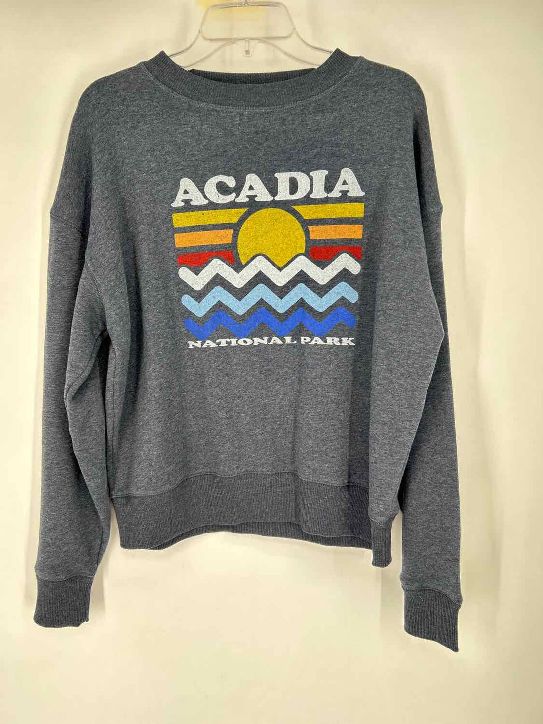 Champion Size M Blue Sweatshirt