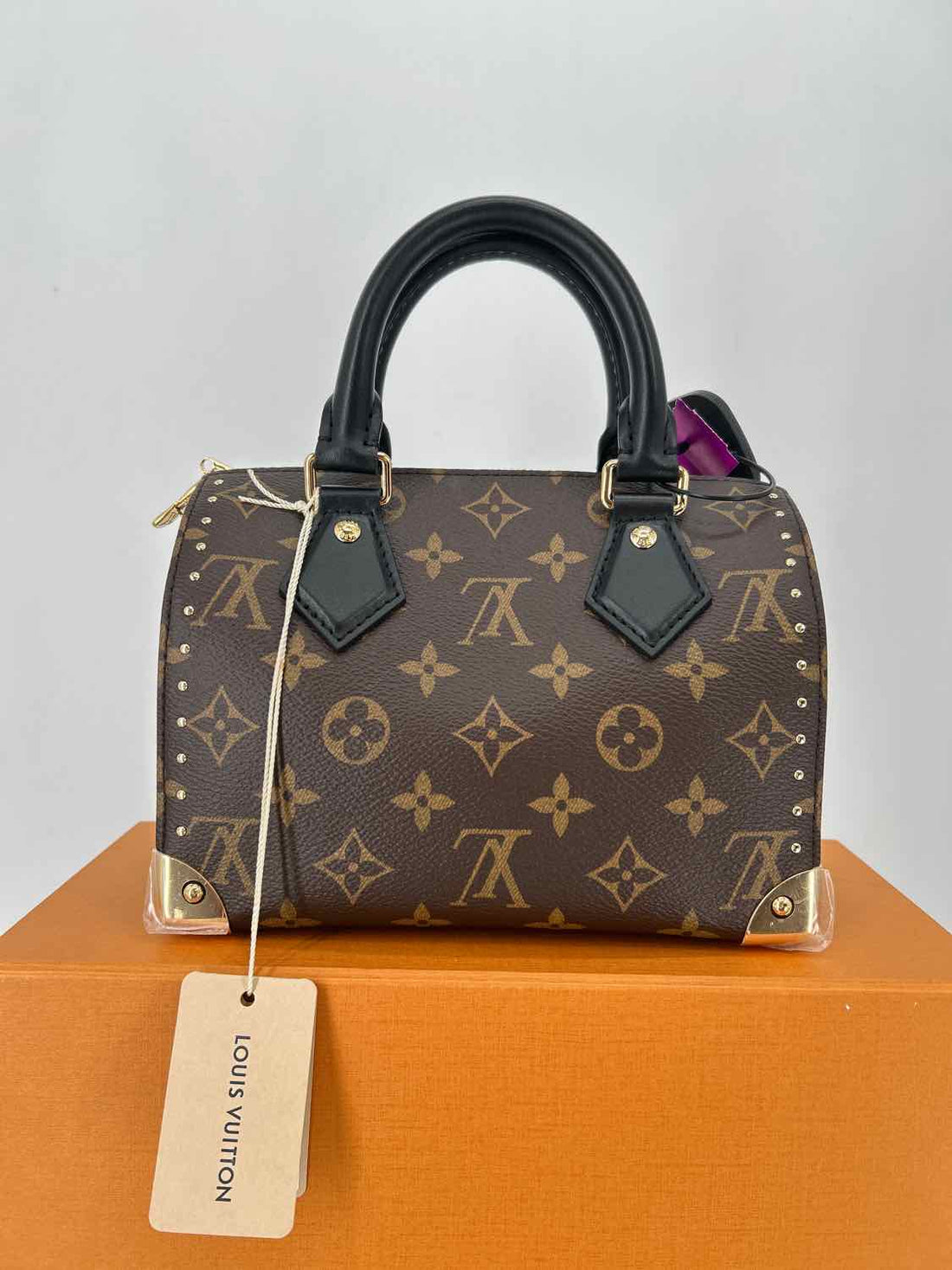 Louis Vuitton Speedy Trunk 20 LUXURY