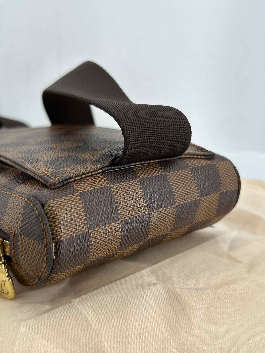 Louis Vuitton Damier Ebene Coated Canvas New LUXURY