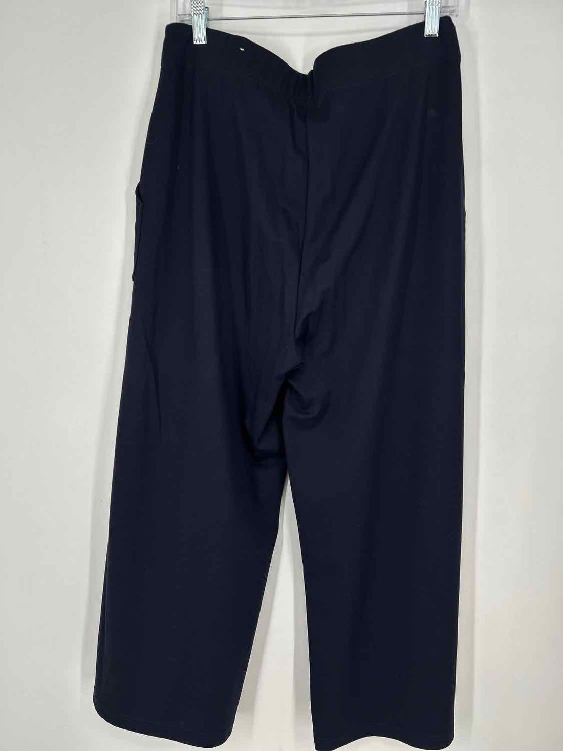 Max Studio Size L Navy Pants