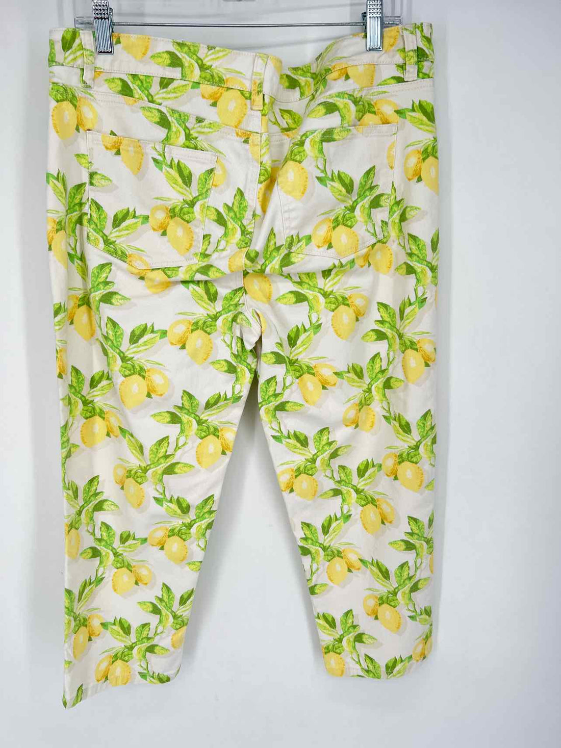 Talbots Size 14P Lemon Print Jeans