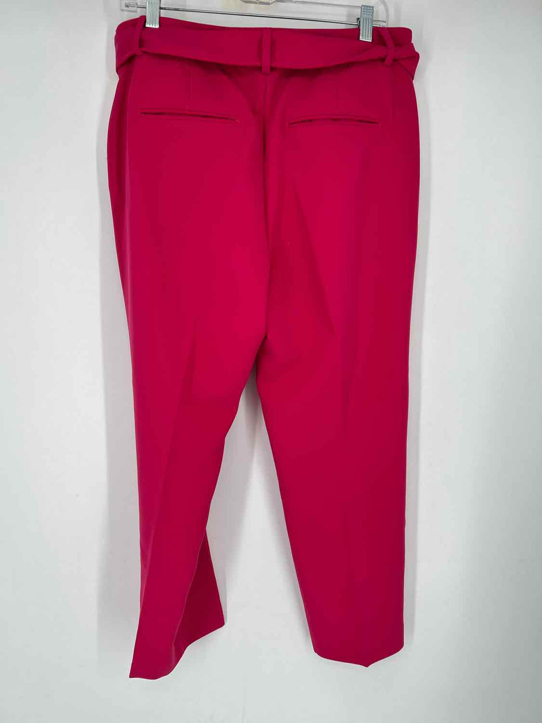 Banana Republic Size 12 Hot Pink Pants
