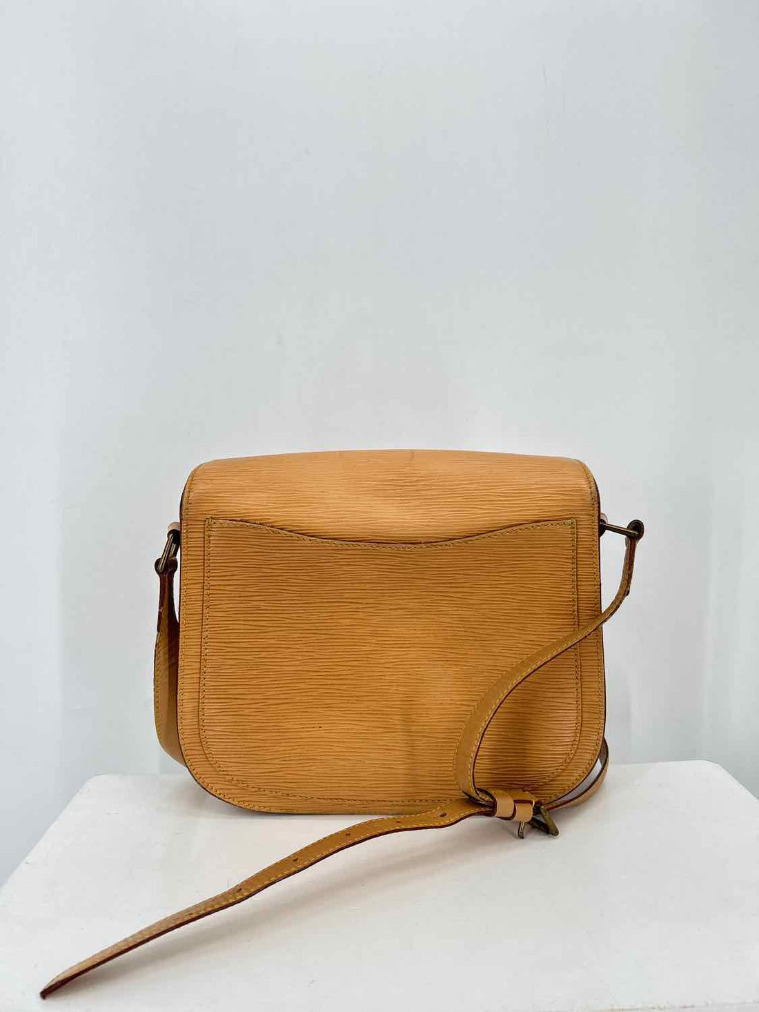 Louis Vuitton Tan Epi Leather LUXURY