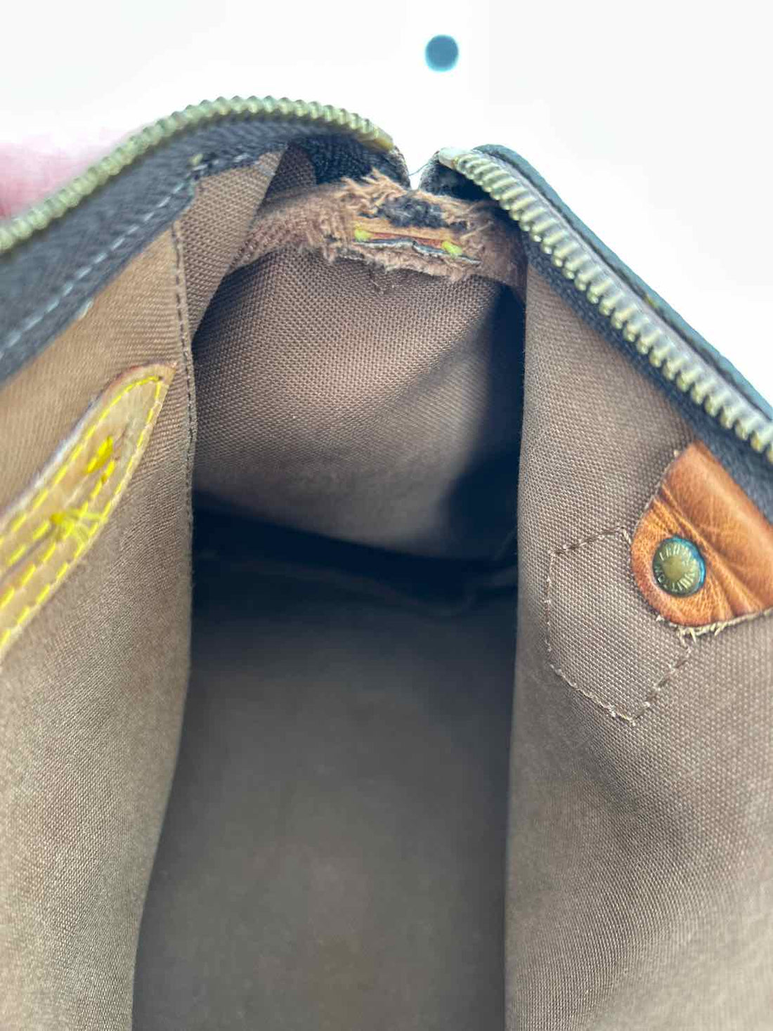 Louis Vuitton Speedy 25 Brown Monogram Tote