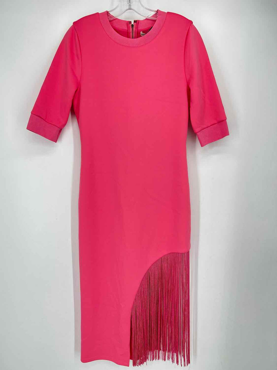 Alice + Olive Size 12 Pink Fringe NWT Dress
