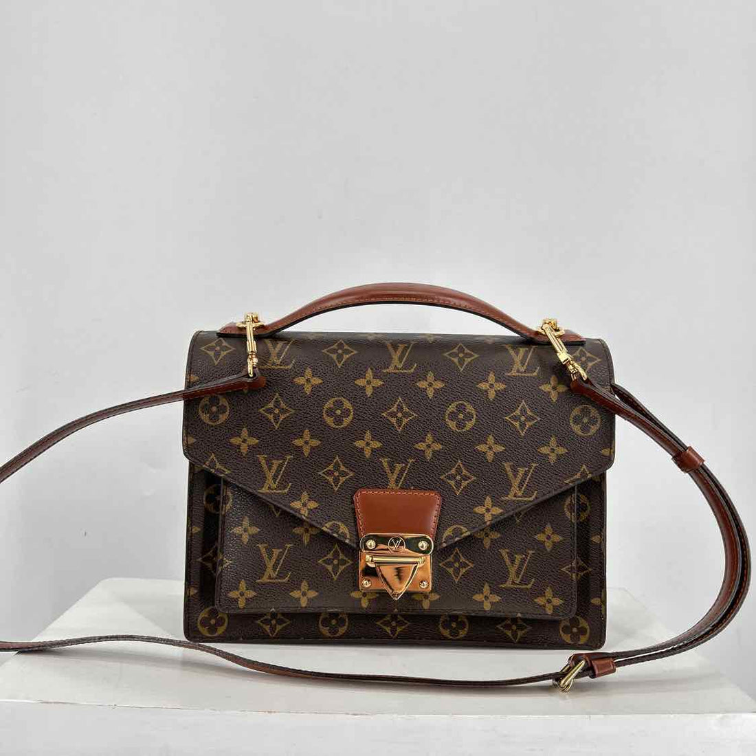 Louis Vuitton Monogram Coated Canvas & Leather LUXURY