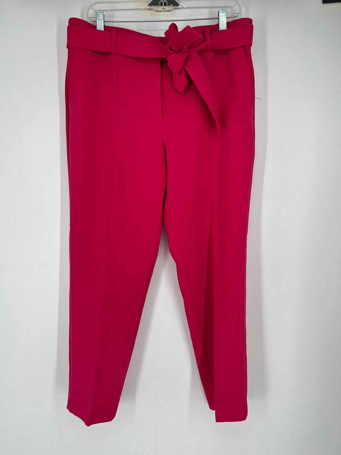 Banana Republic Size 12 Hot Pink Pants