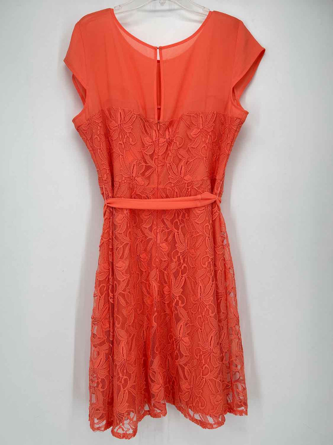 DB Est 1962 Size 16 Orange Lace Dress