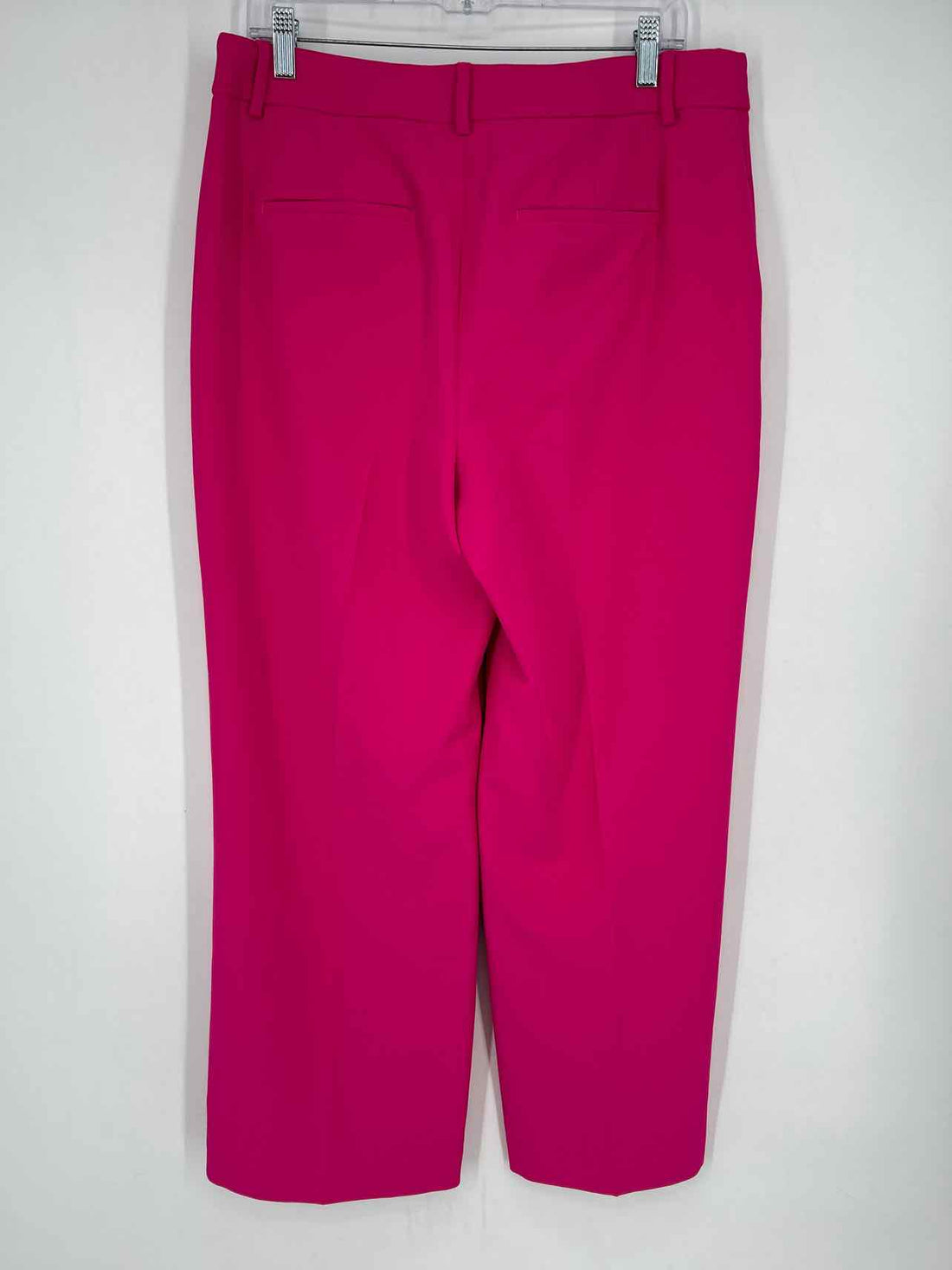 Express Size 12S Fuschia Pants