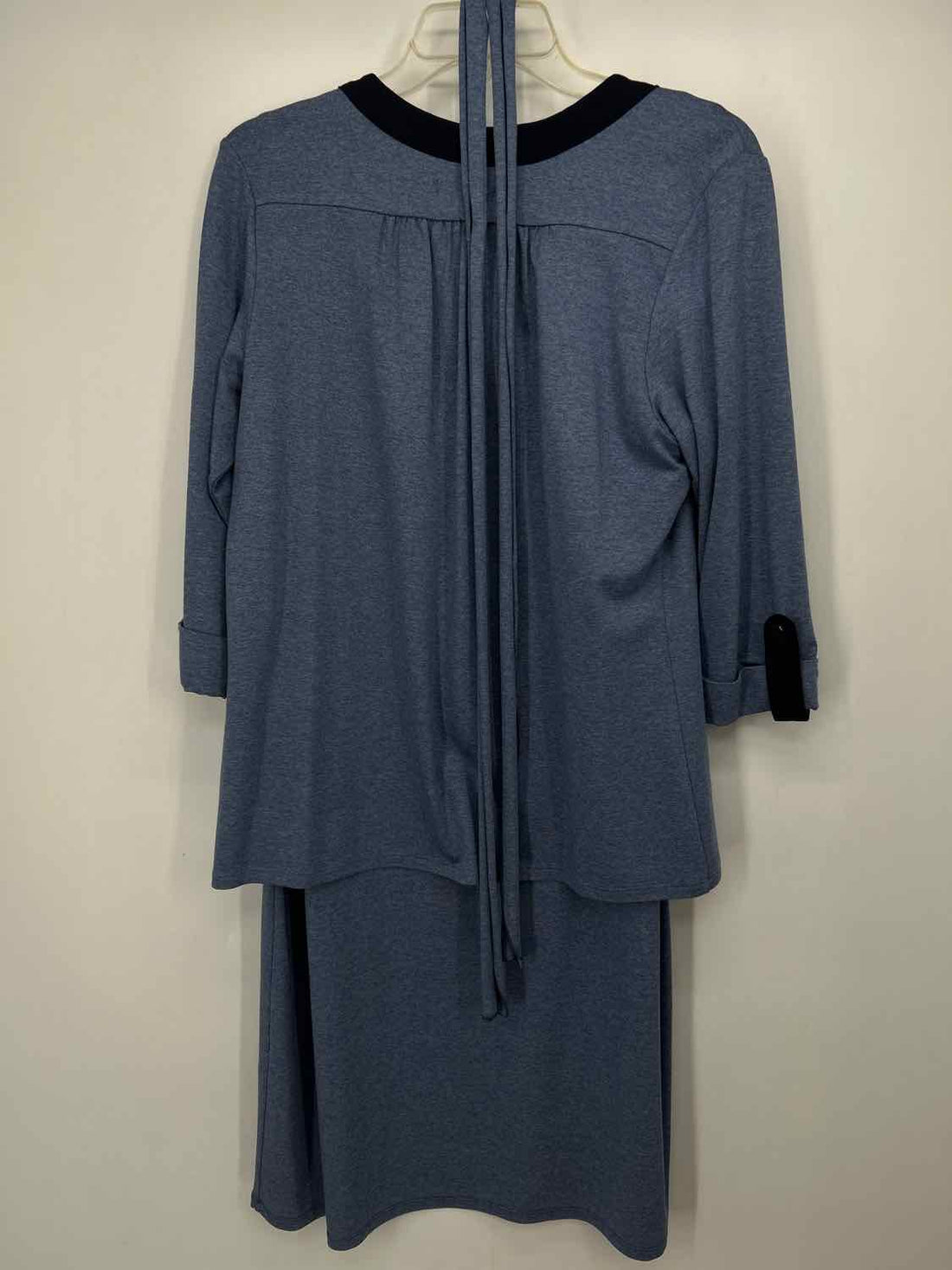 Ava Gray direct Size L Blue NWT Dress
