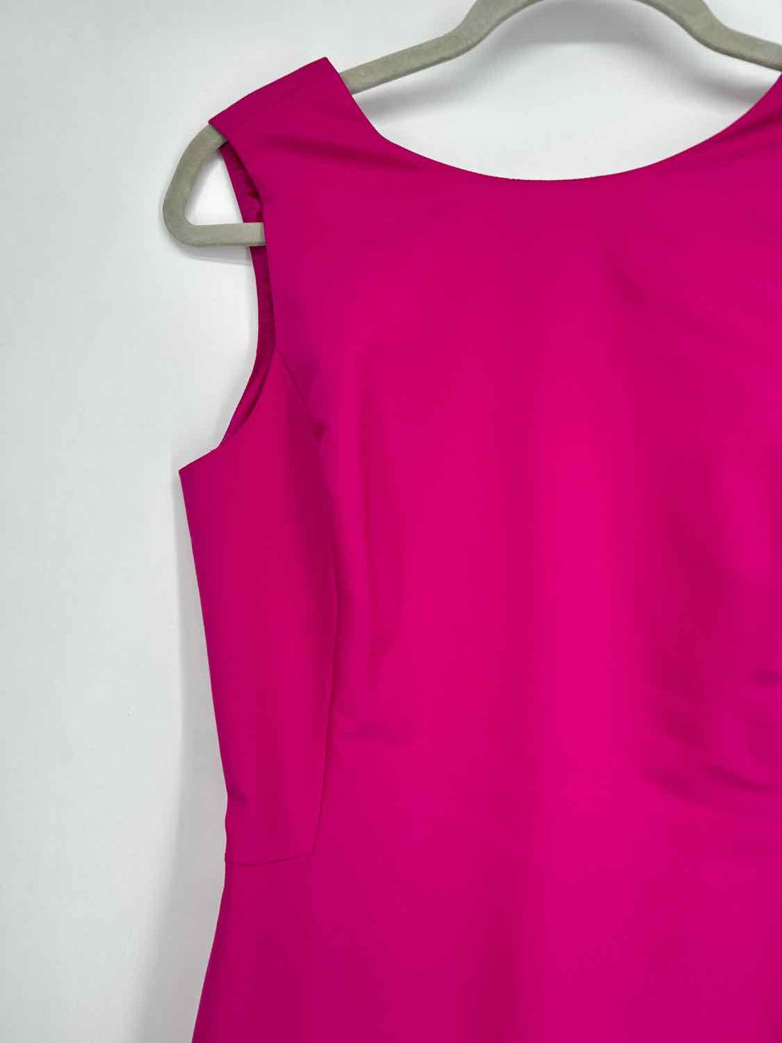 Belle Badgley Mischka Size 4 Fuschia Sleeveless Dress