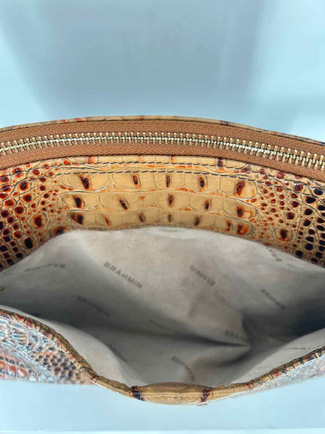 Brahmin Melbourne Croc Embossed Leather Brown Purse