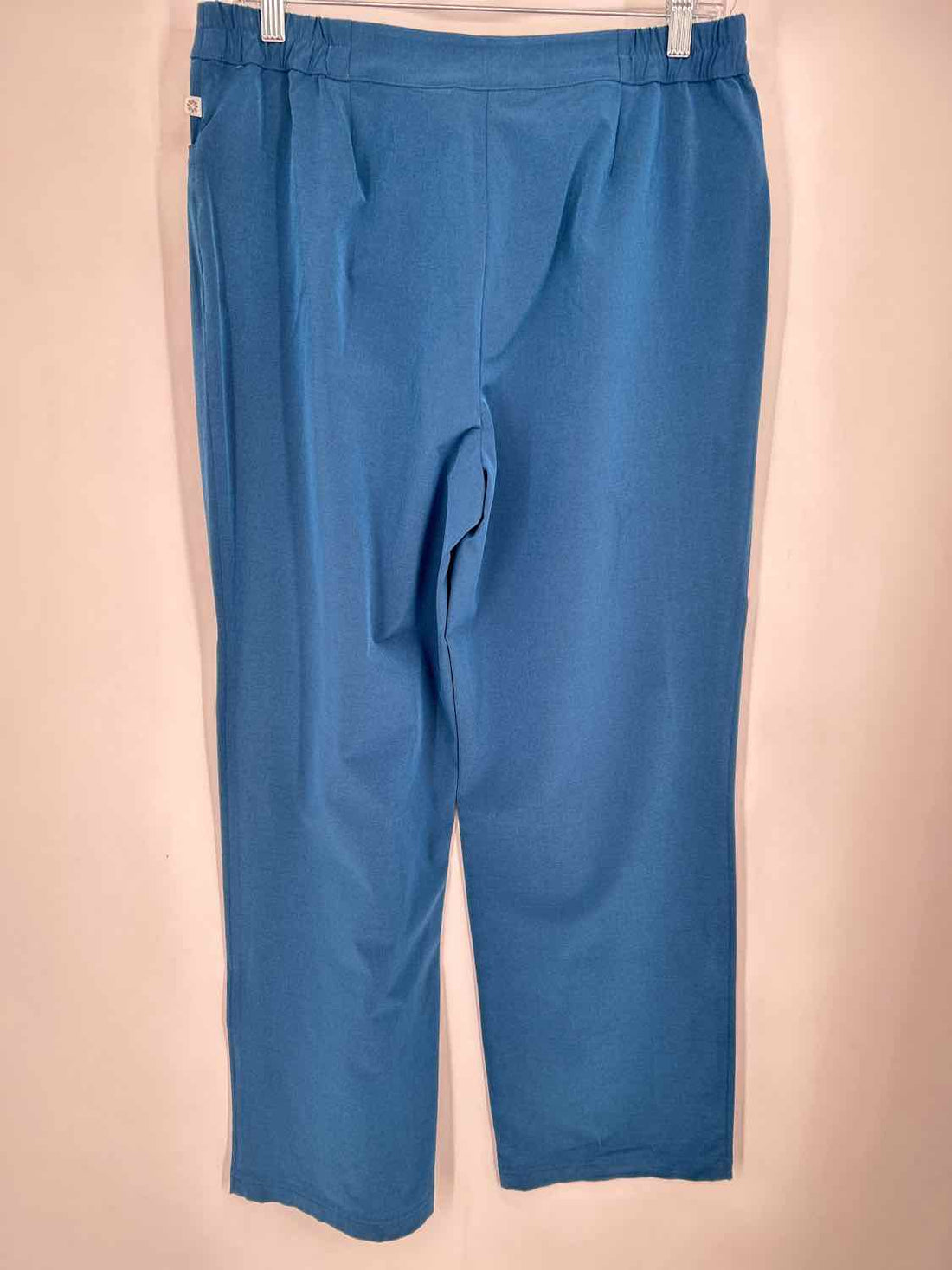 Zenergy by Chicos Size 1(8) Dark Teal Pants