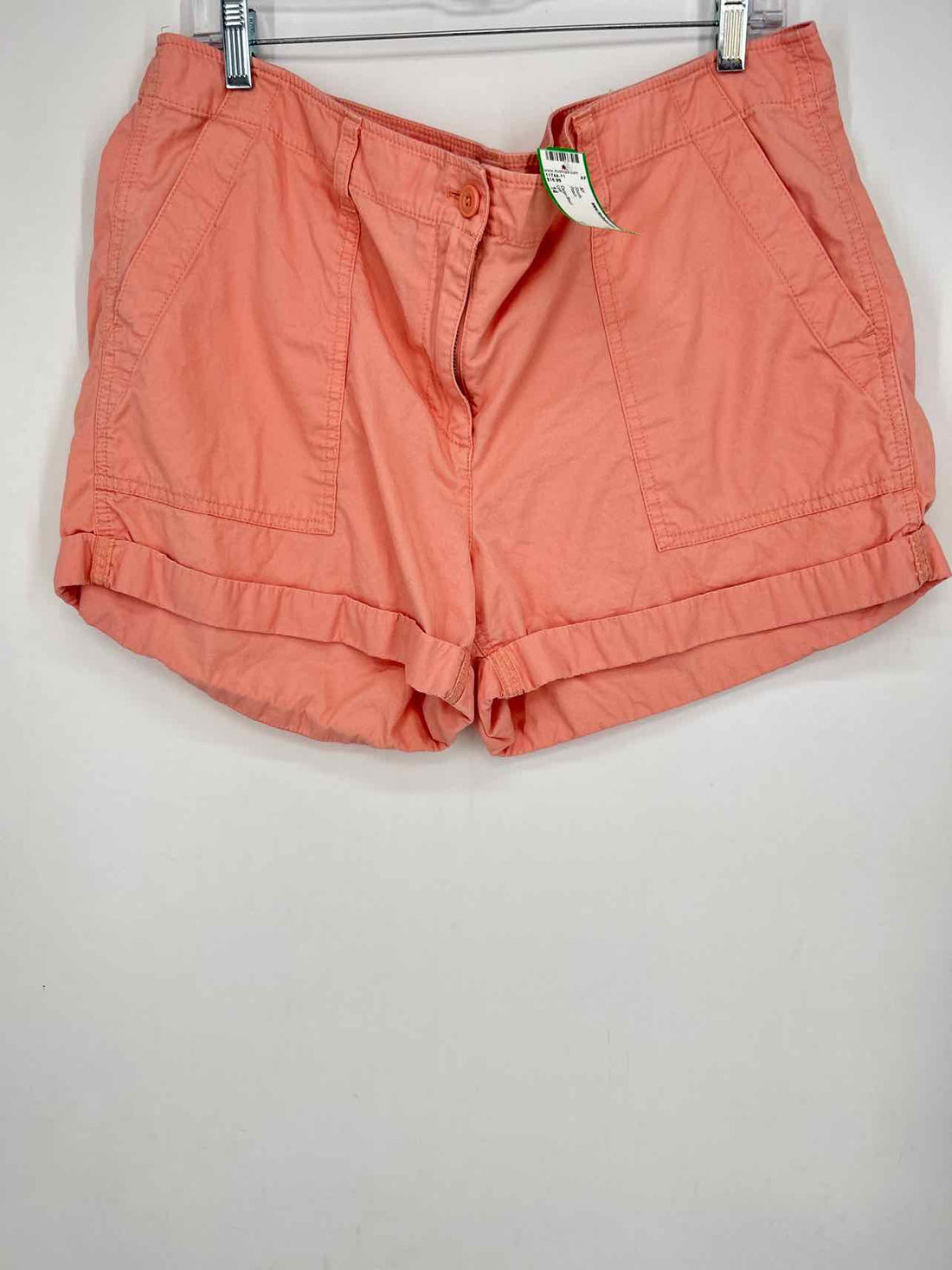 Loft Size 14 Peach Shorts