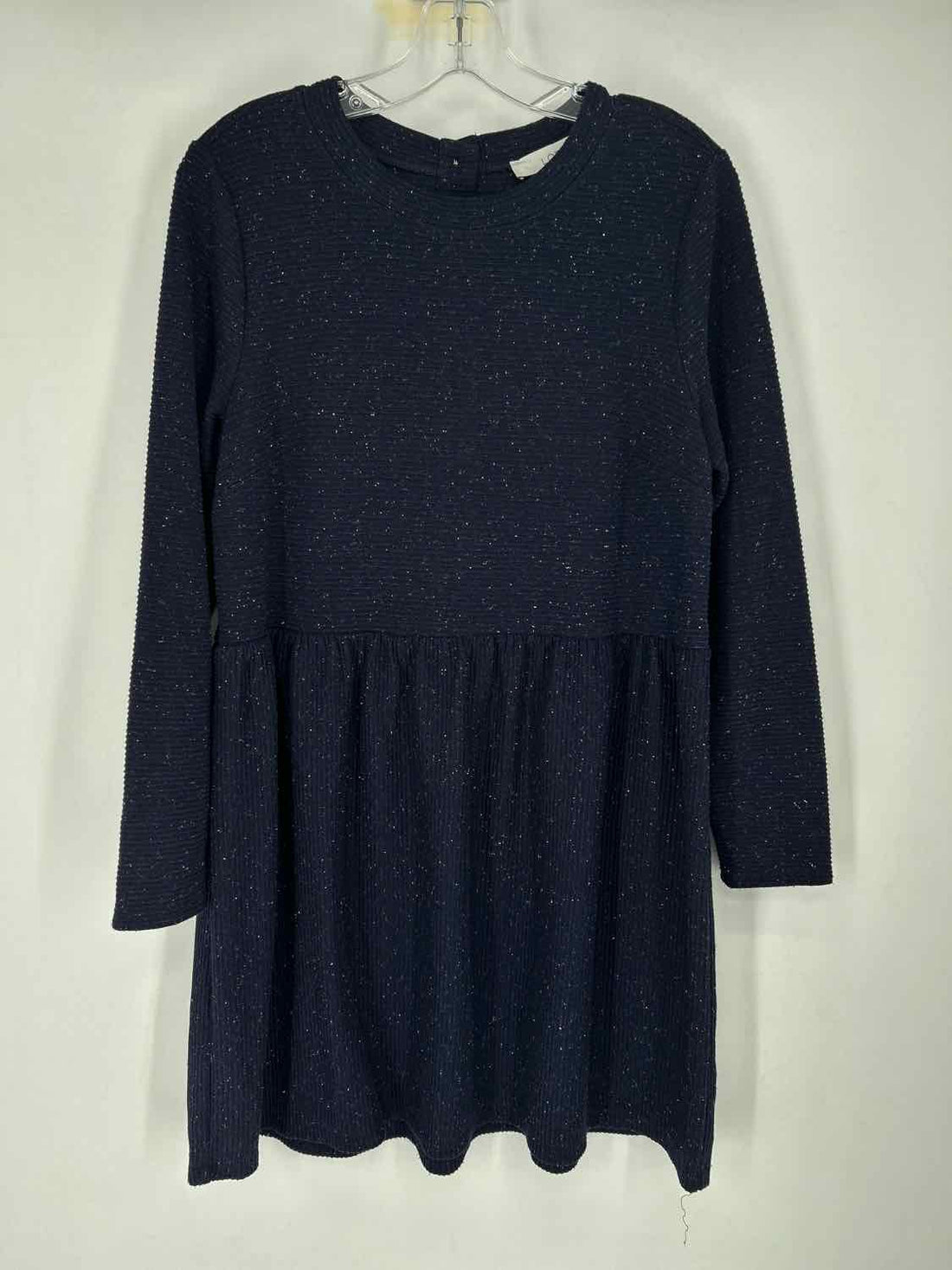 Loft Size LP Navy Dress