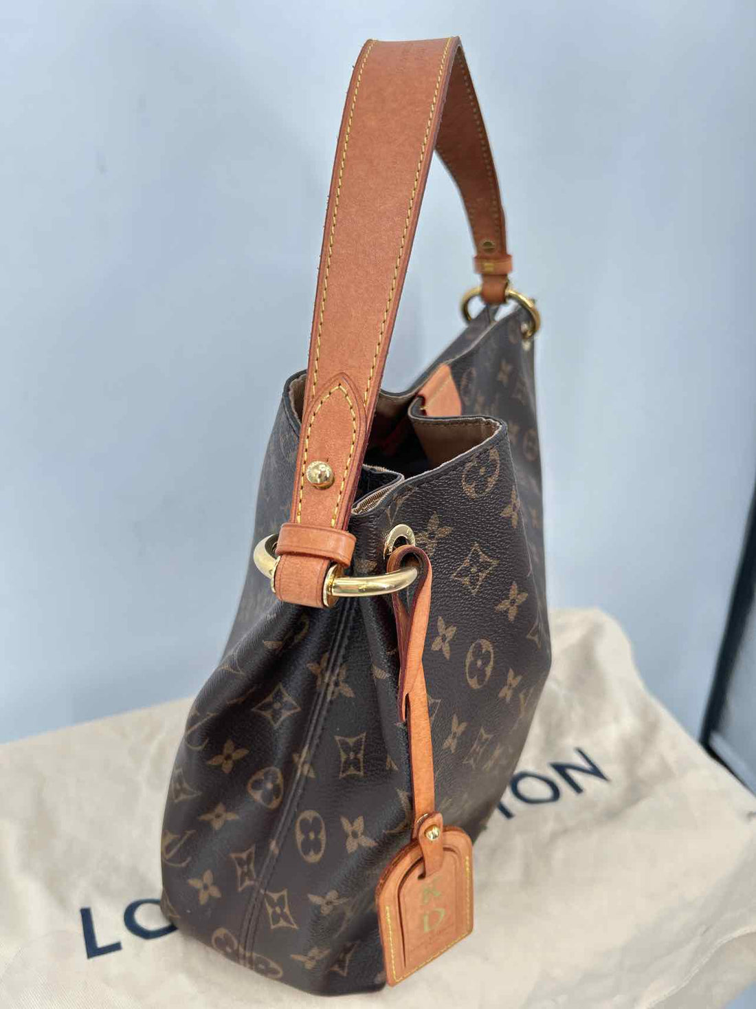 Louis Vuitton Graceful PM Monogram Coated Canvas & Leather Pre Owned LUXURY