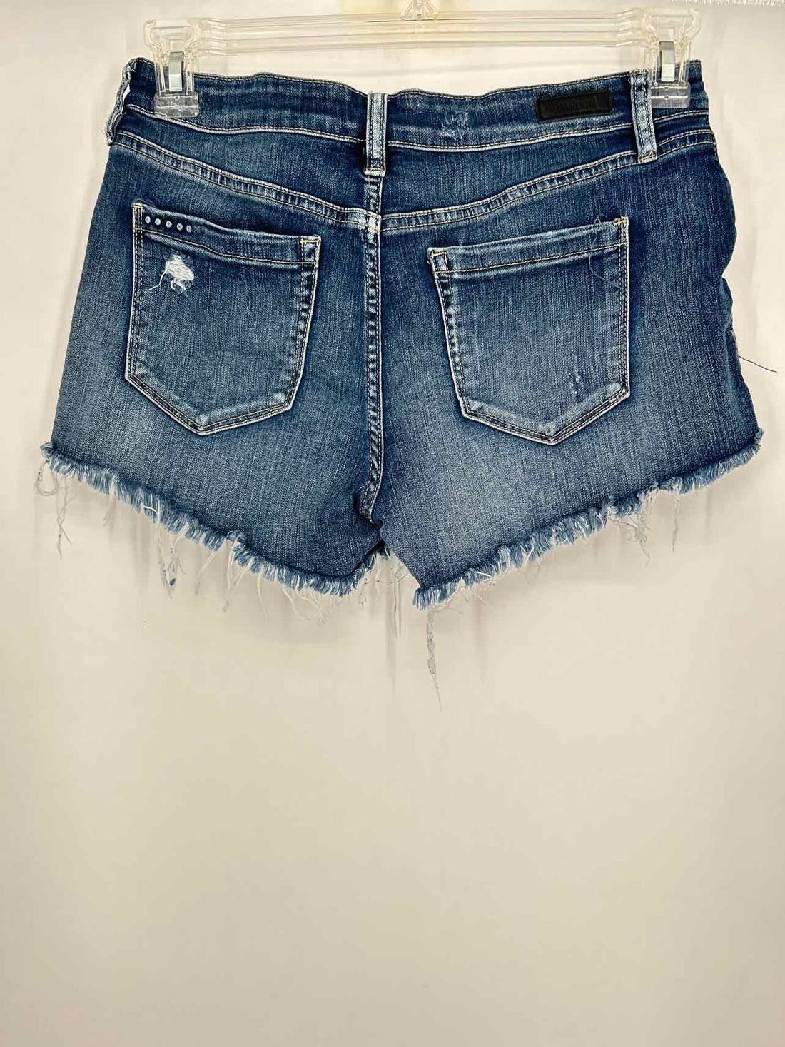 Blank nyc Size 28 Denim Distressed Shorts