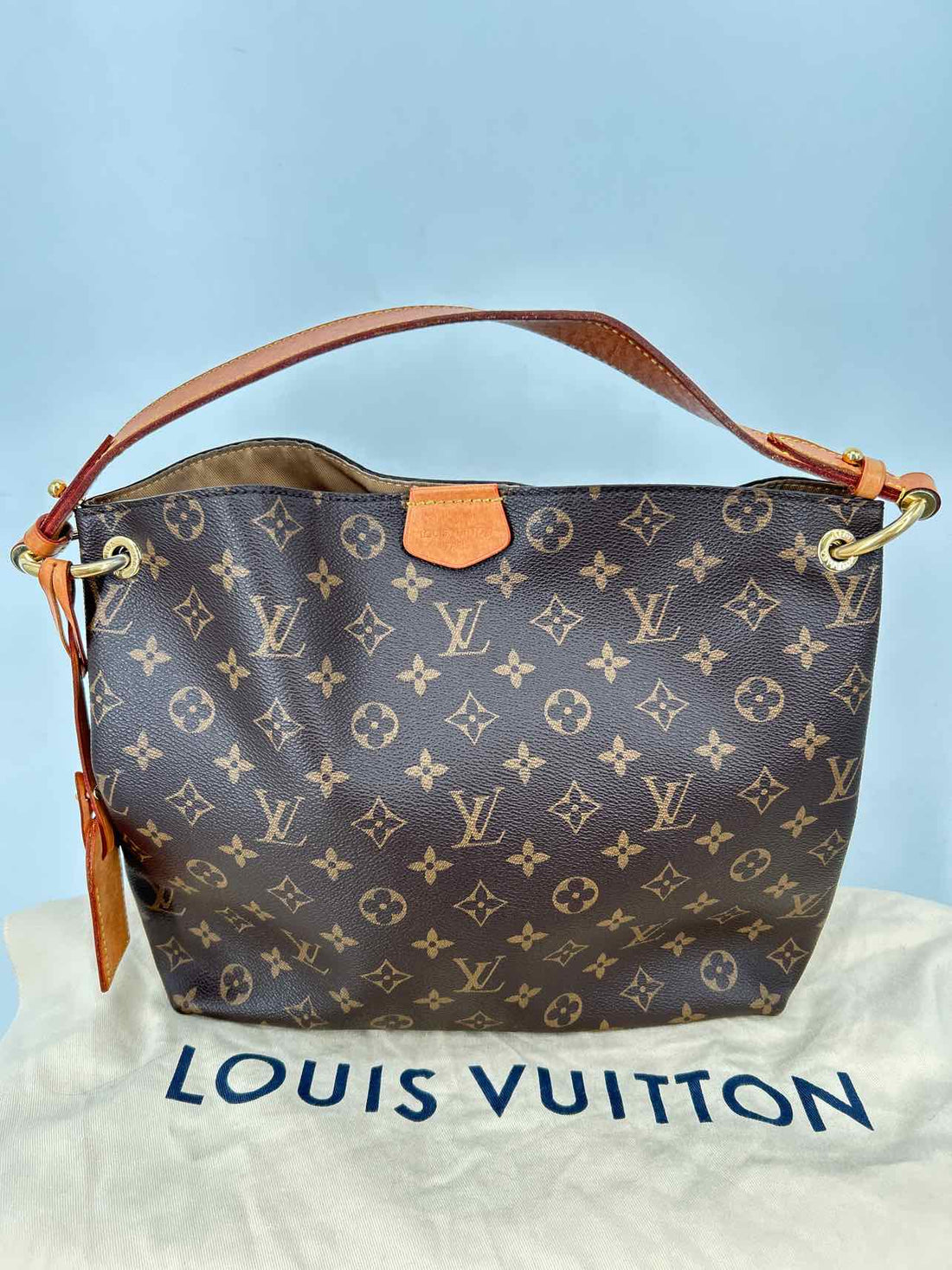 Louis Vuitton Graceful PM Monogram Coated Canvas & Leather Pre Owned LUXURY