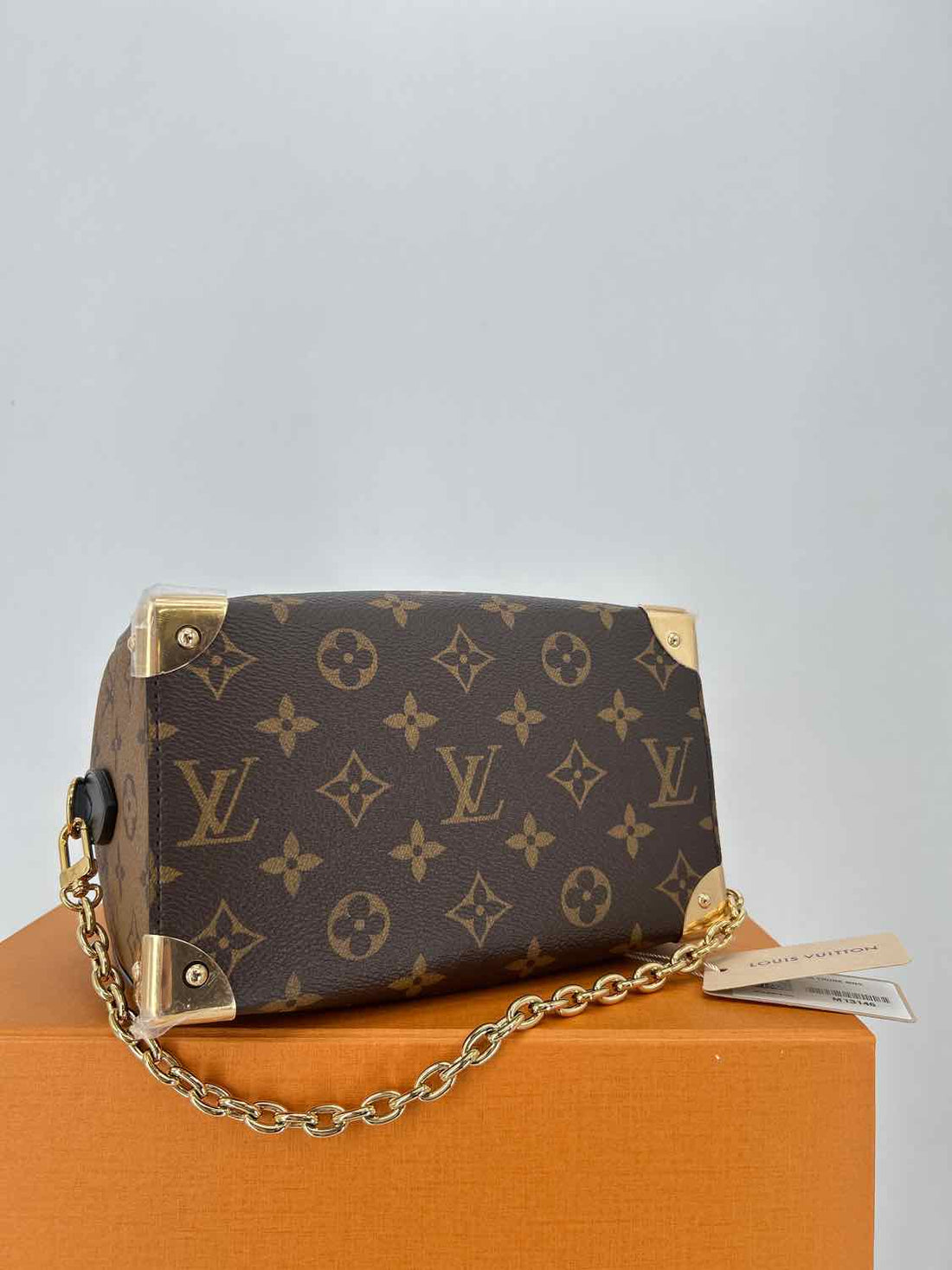 Louis Vuitton Speedy Trunk 20 LUXURY
