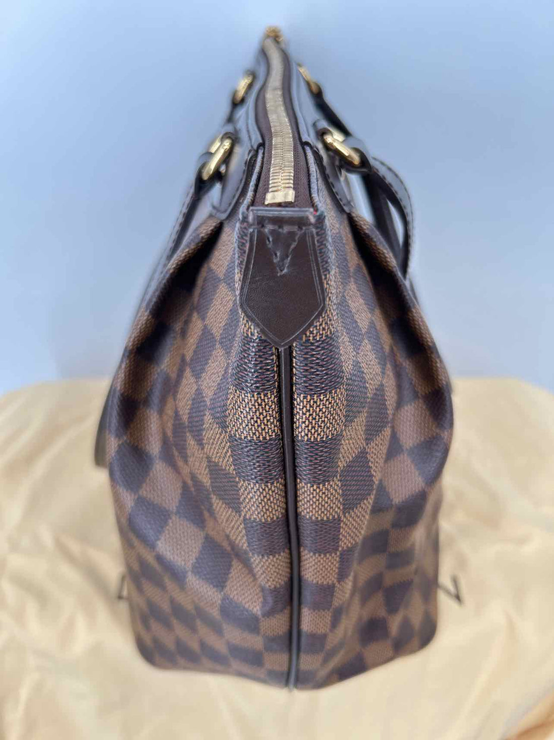 Louis Vuitton Damier Ebene Coated Canvas Pre Owned LUXURY