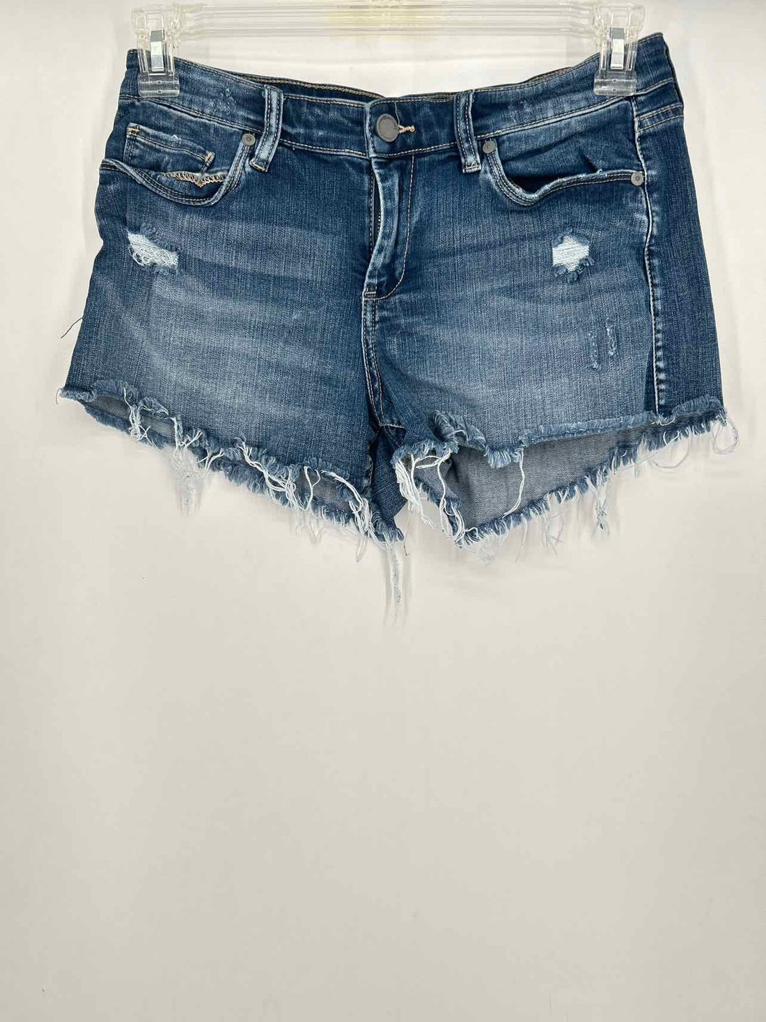 Blank nyc Size 28 Denim Distressed Shorts