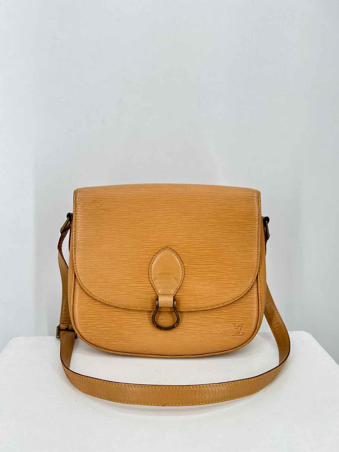 Louis Vuitton Tan Epi Leather LUXURY