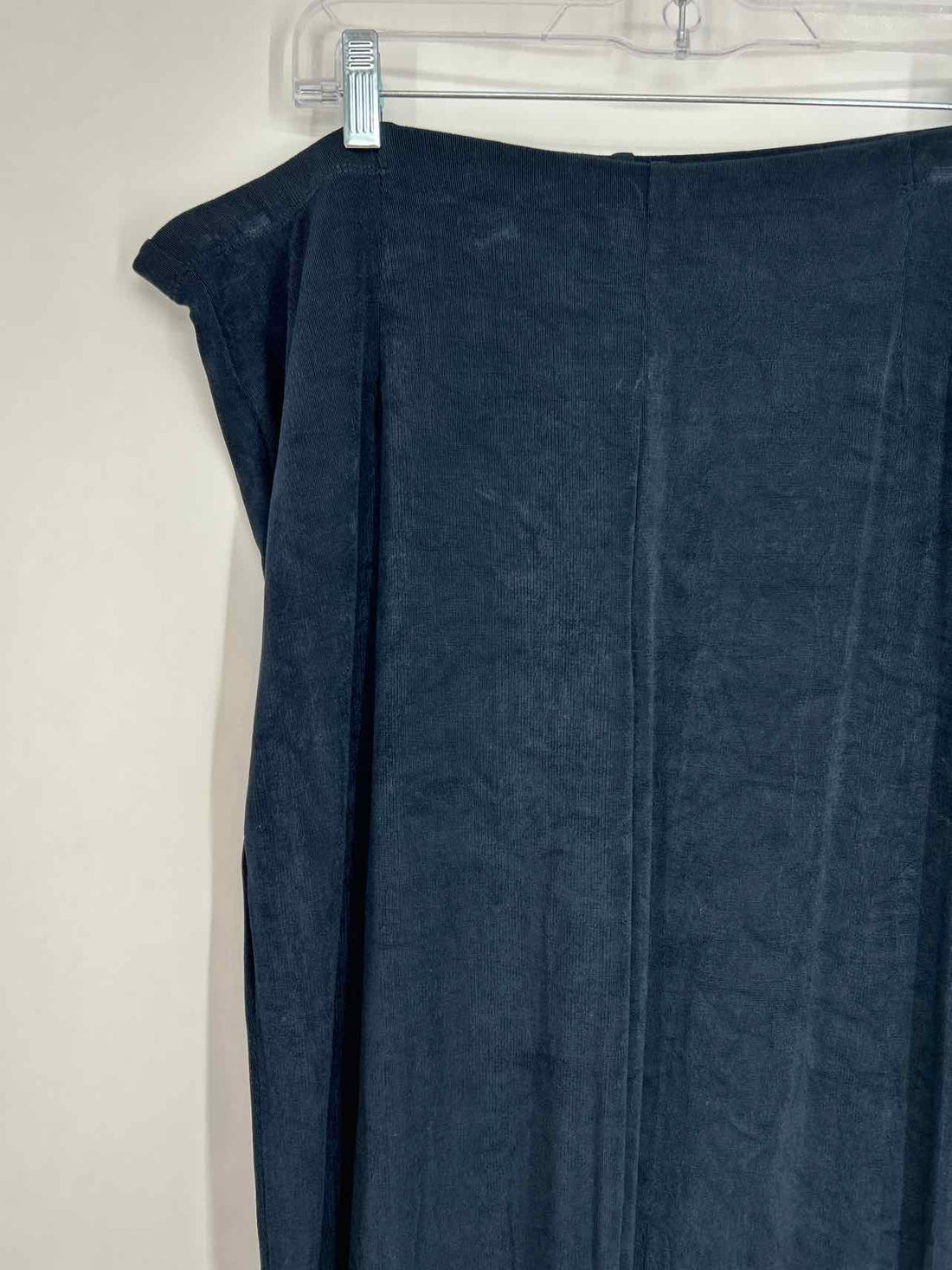 Chicos Size 4 (20) Navy Pants