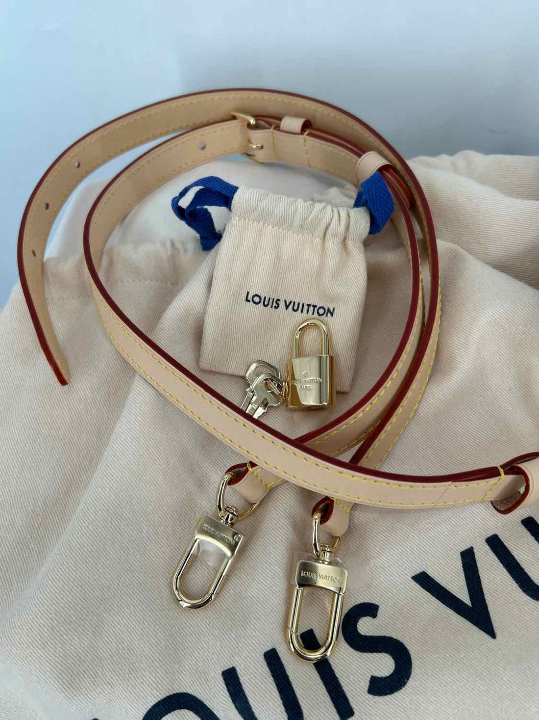 Louis Vuitton Speedy Bandouliere 25  LUXURY