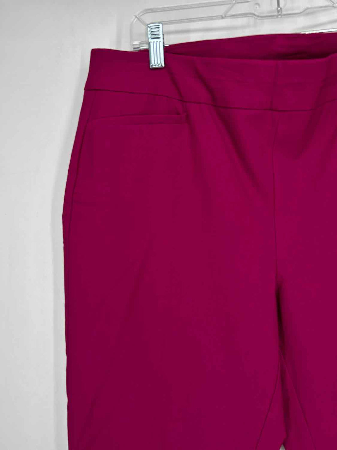 Chicos Size 2(12) Magenta Pants