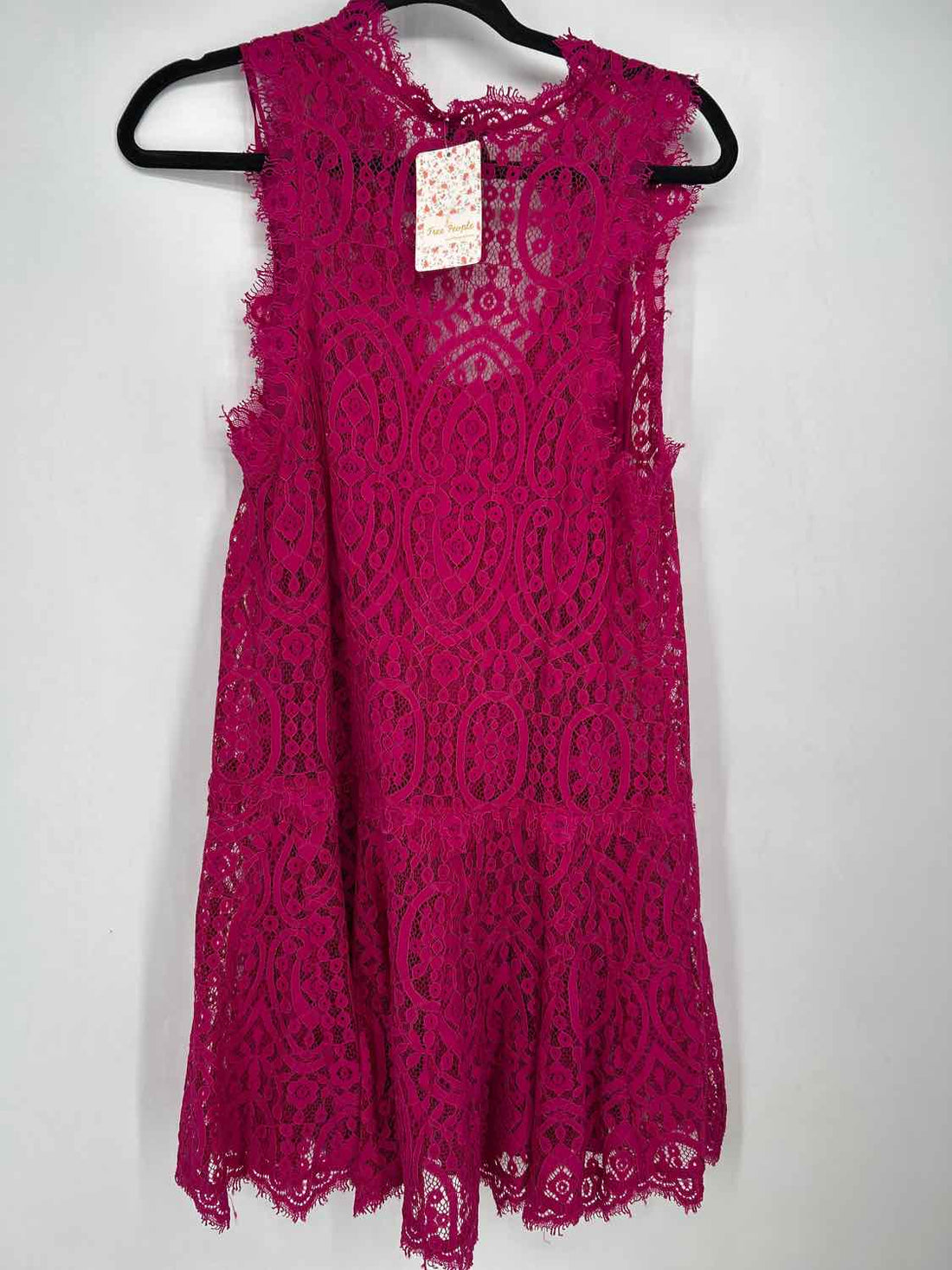 Free People Size S Fuschia Lace NWT Dress