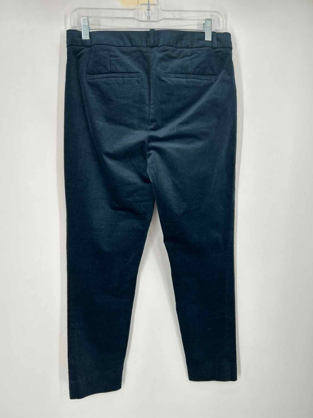 Banana Republic Size 4 Teal Velour Pants